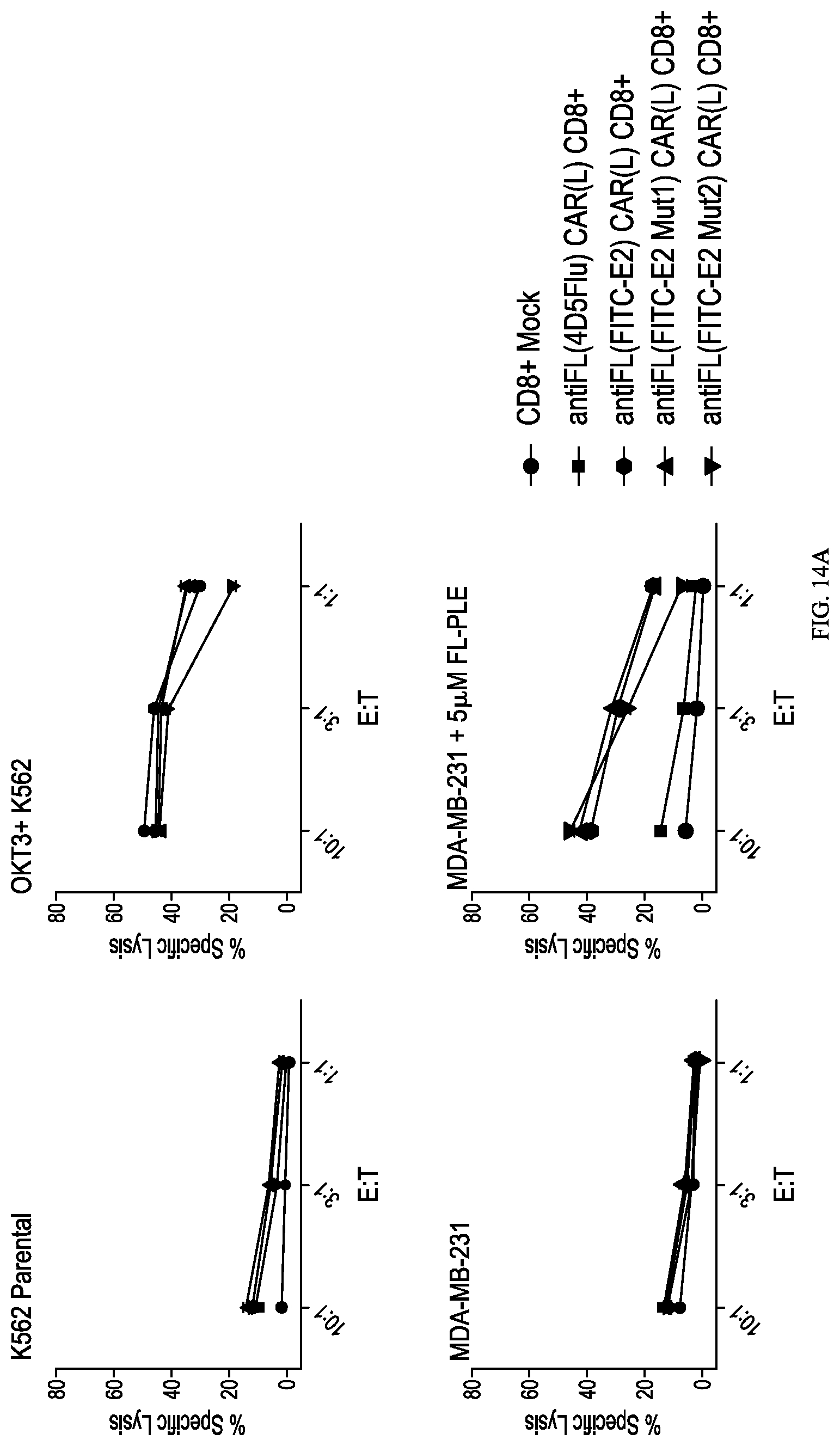 Patent US12312416 Figure 19 – Fluorescein-specific cars exhibiting optimal t cell function against FL-PLE labelled tumors