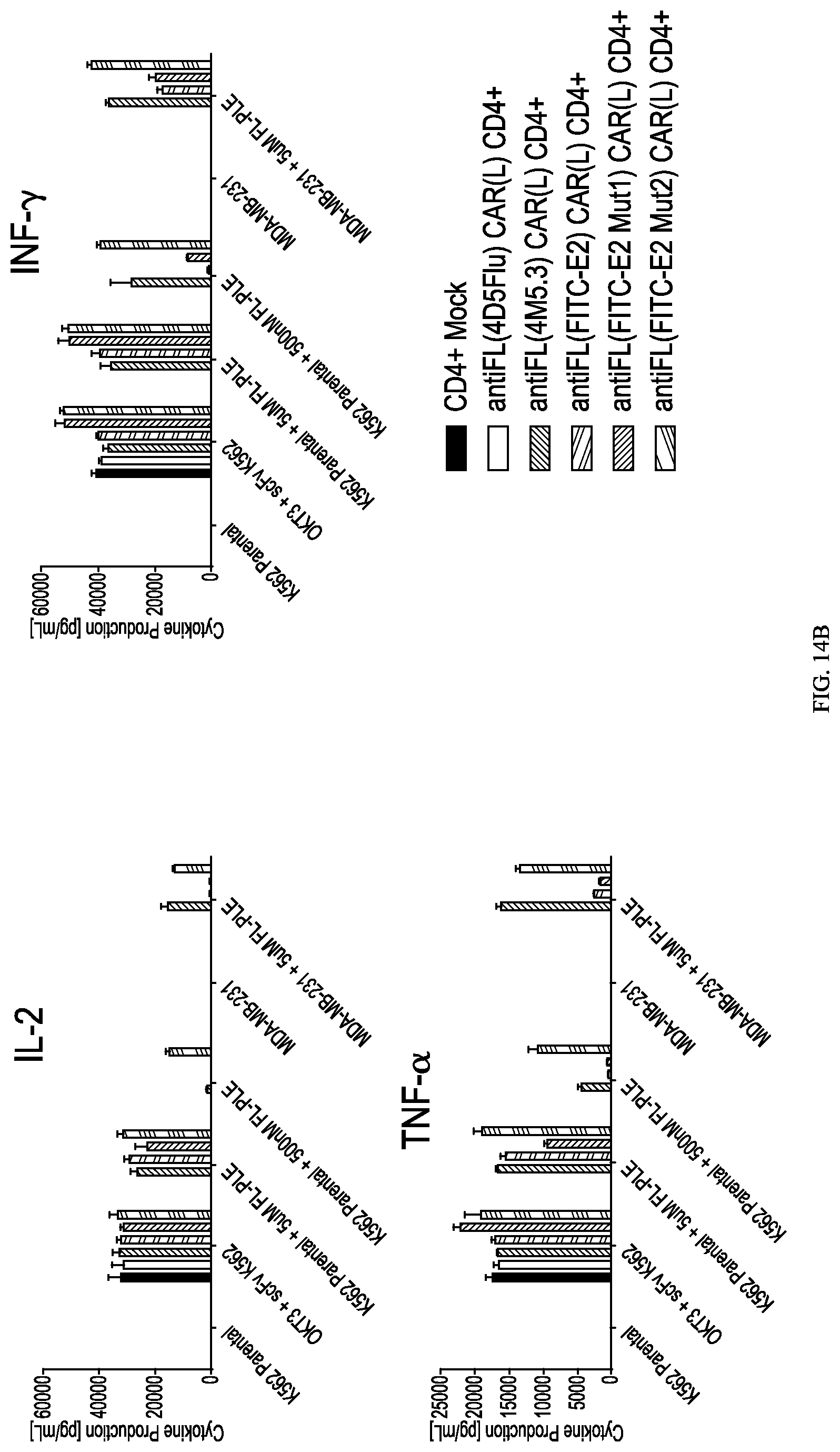 Patent US12312416 Figure 20 – Fluorescein-specific cars exhibiting optimal t cell function against FL-PLE labelled tumors
