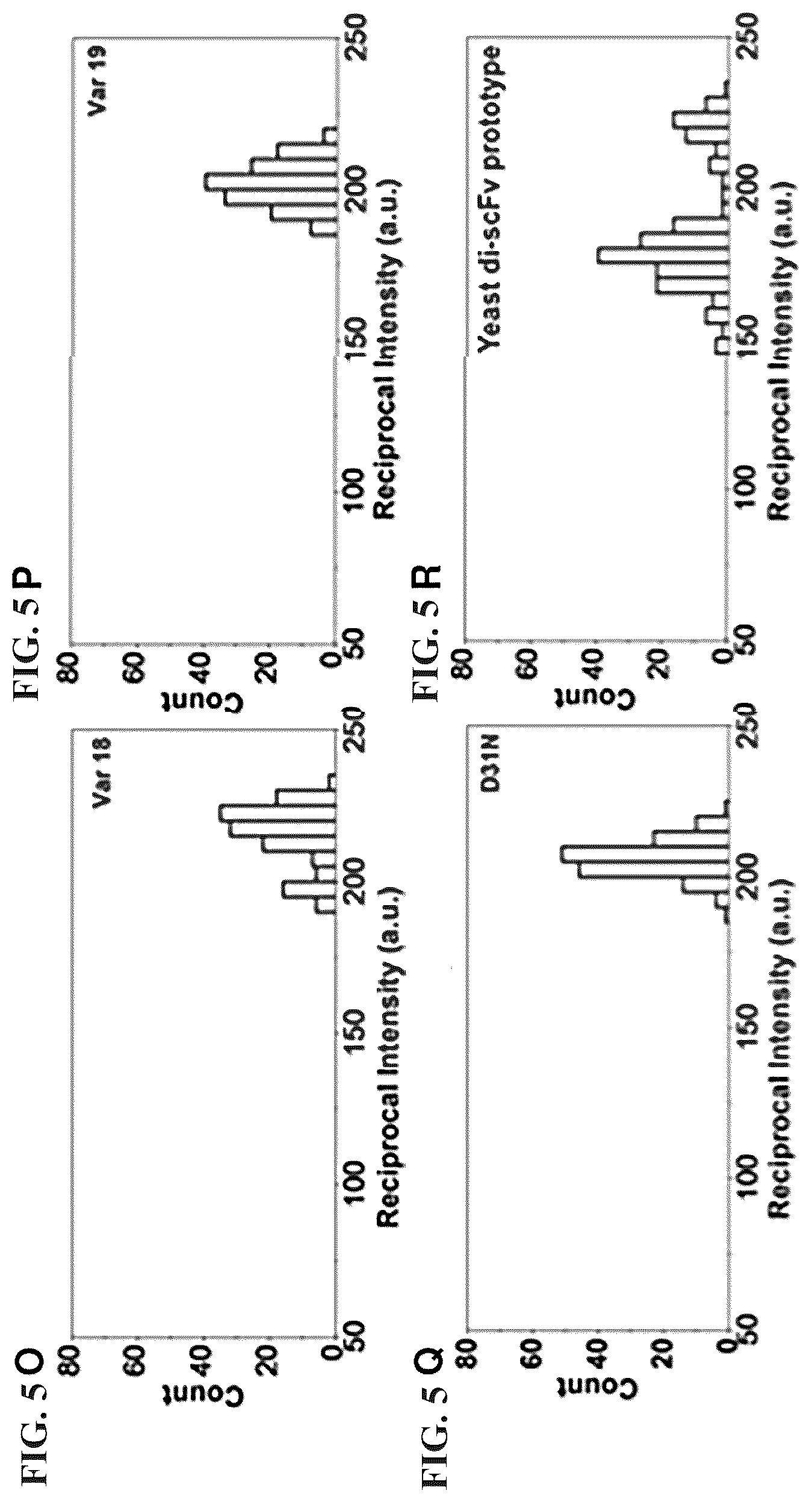 Patent US12312417 Figure 11 – Binding proteins 1