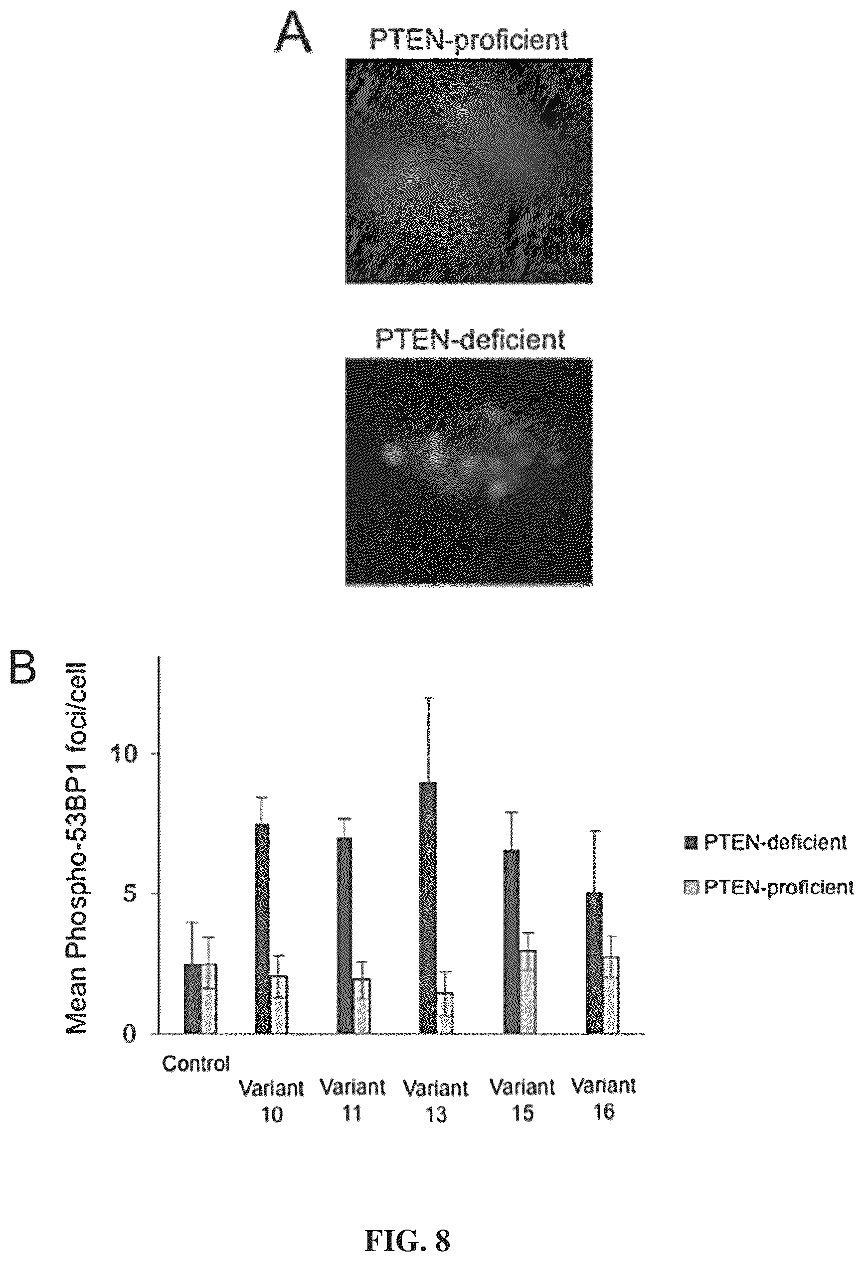 Patent US12312417 Figure 14 – Binding proteins 1