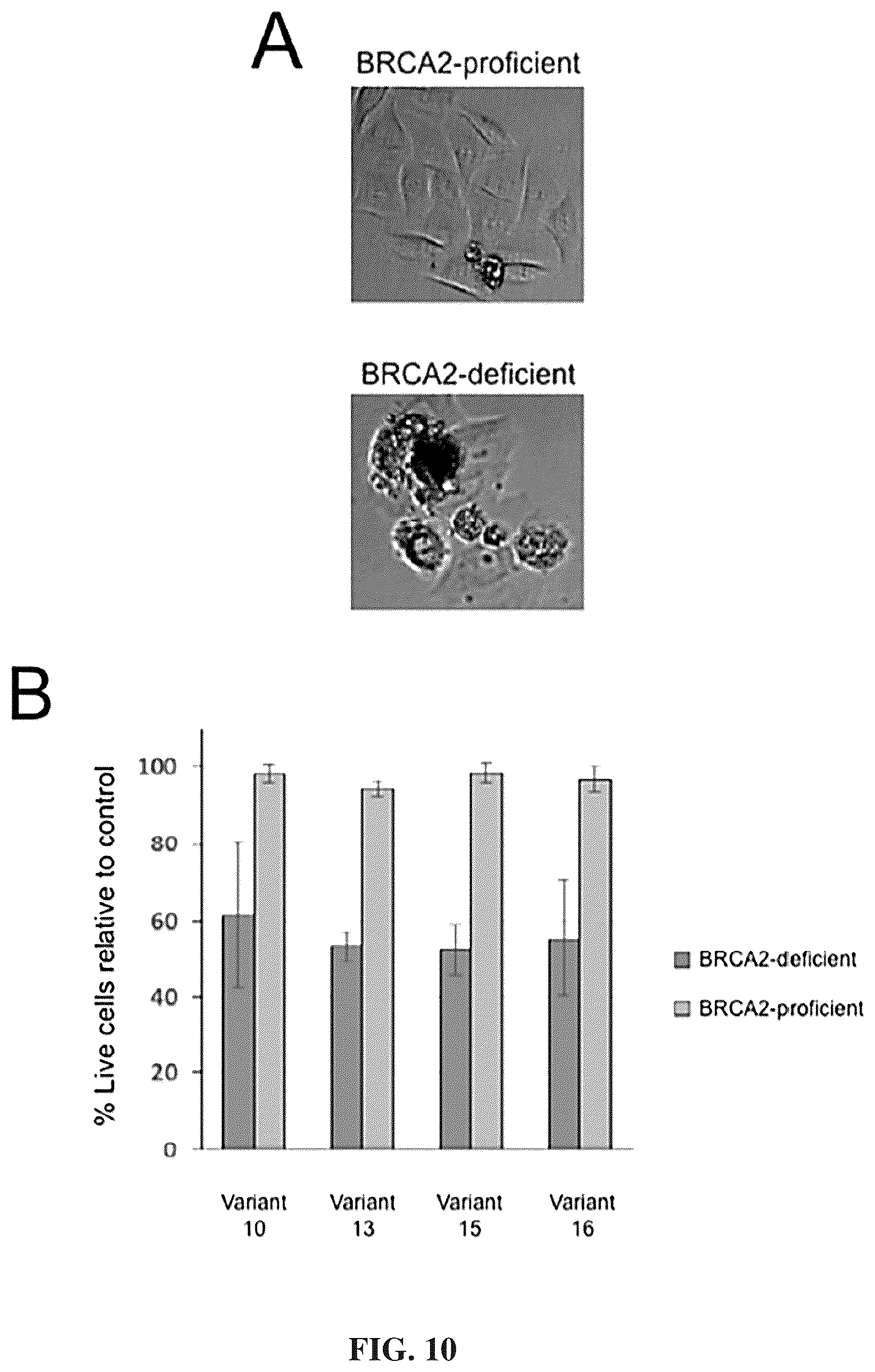 Patent US12312417 Figure 16 – Binding proteins 1