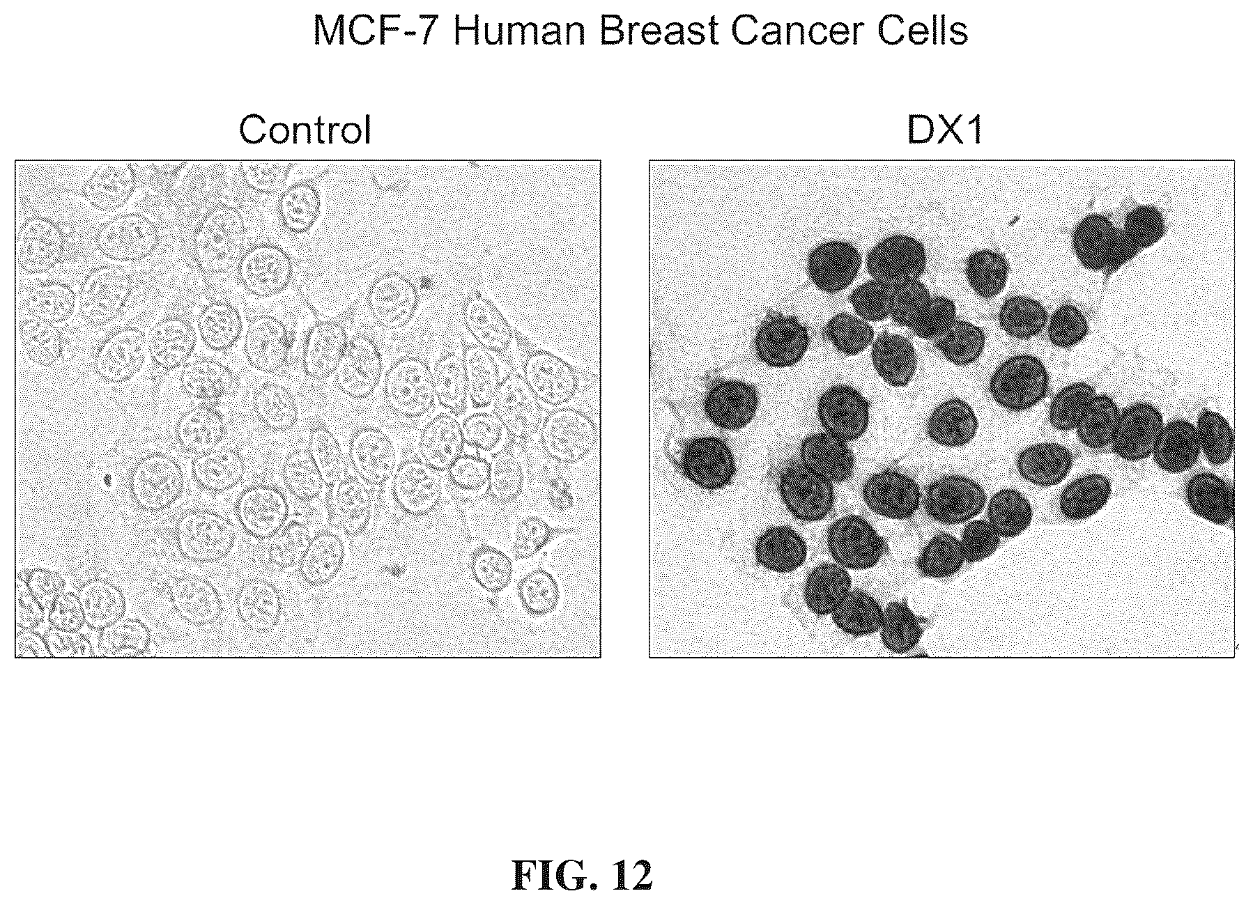 Patent US12312417 Figure 18 – Binding proteins 1