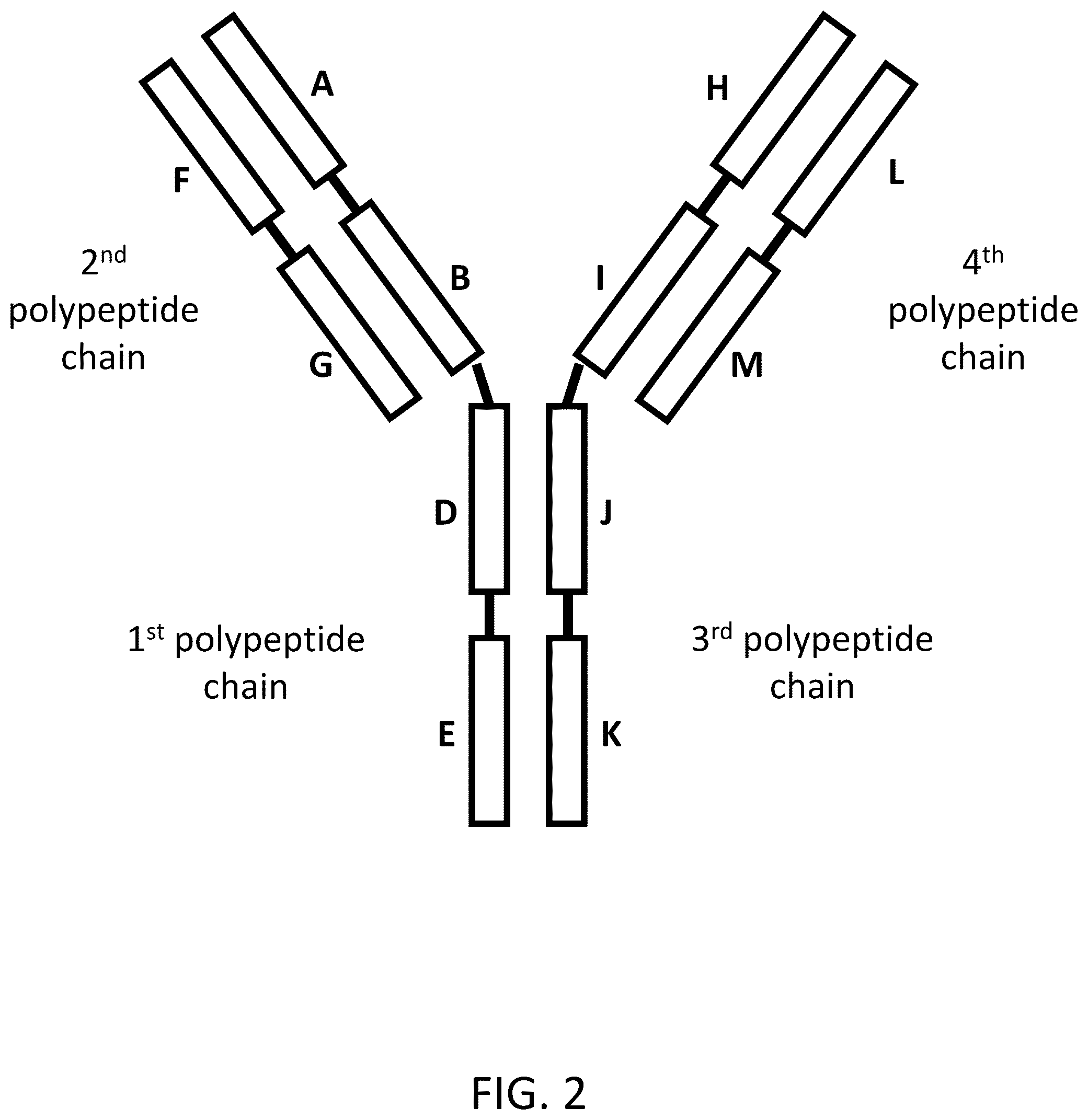Patent US12312418 Figure 6 – Orthogonal mutations for heterodimerization