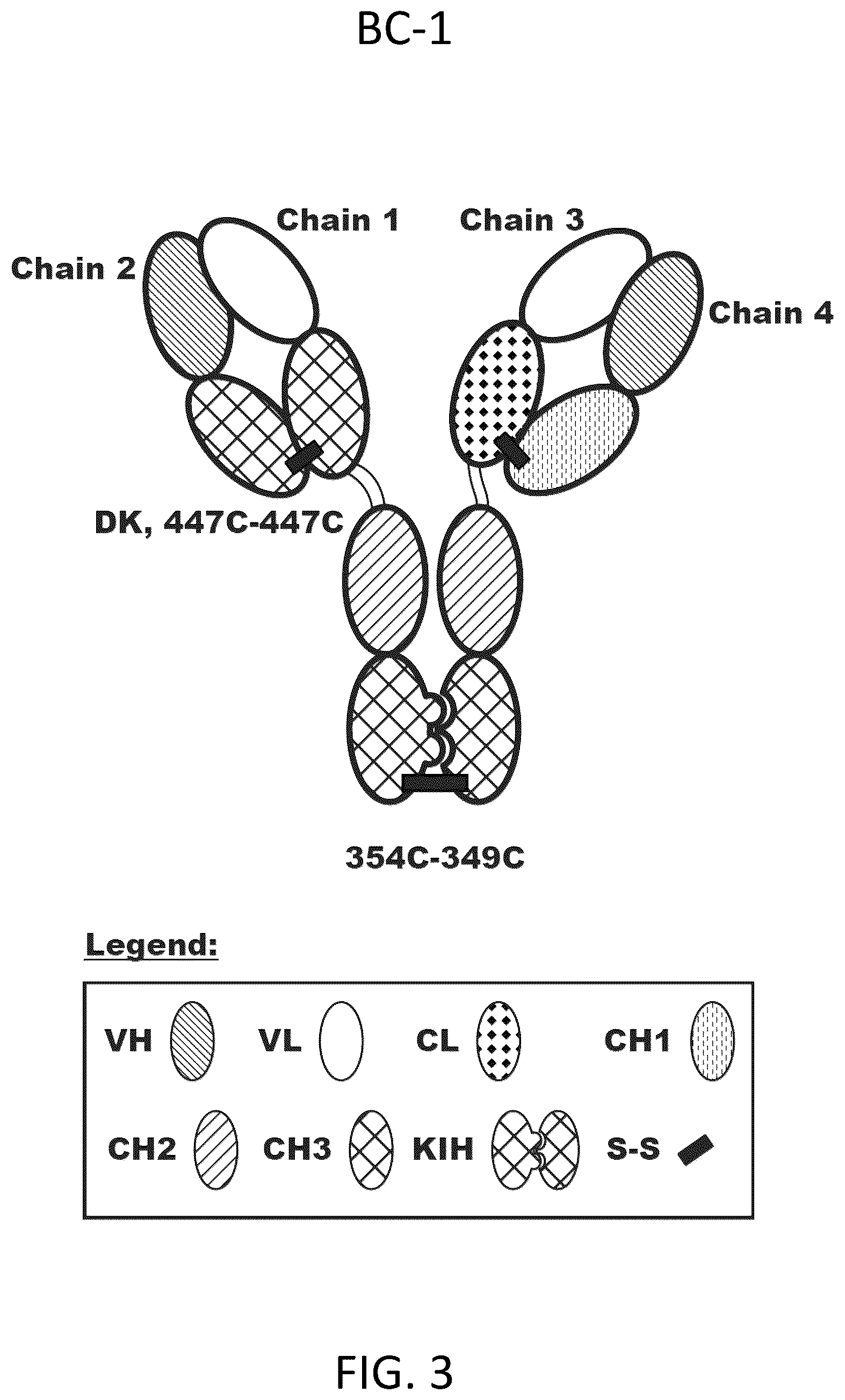 Patent US12312418 Figure 7 – Orthogonal mutations for heterodimerization