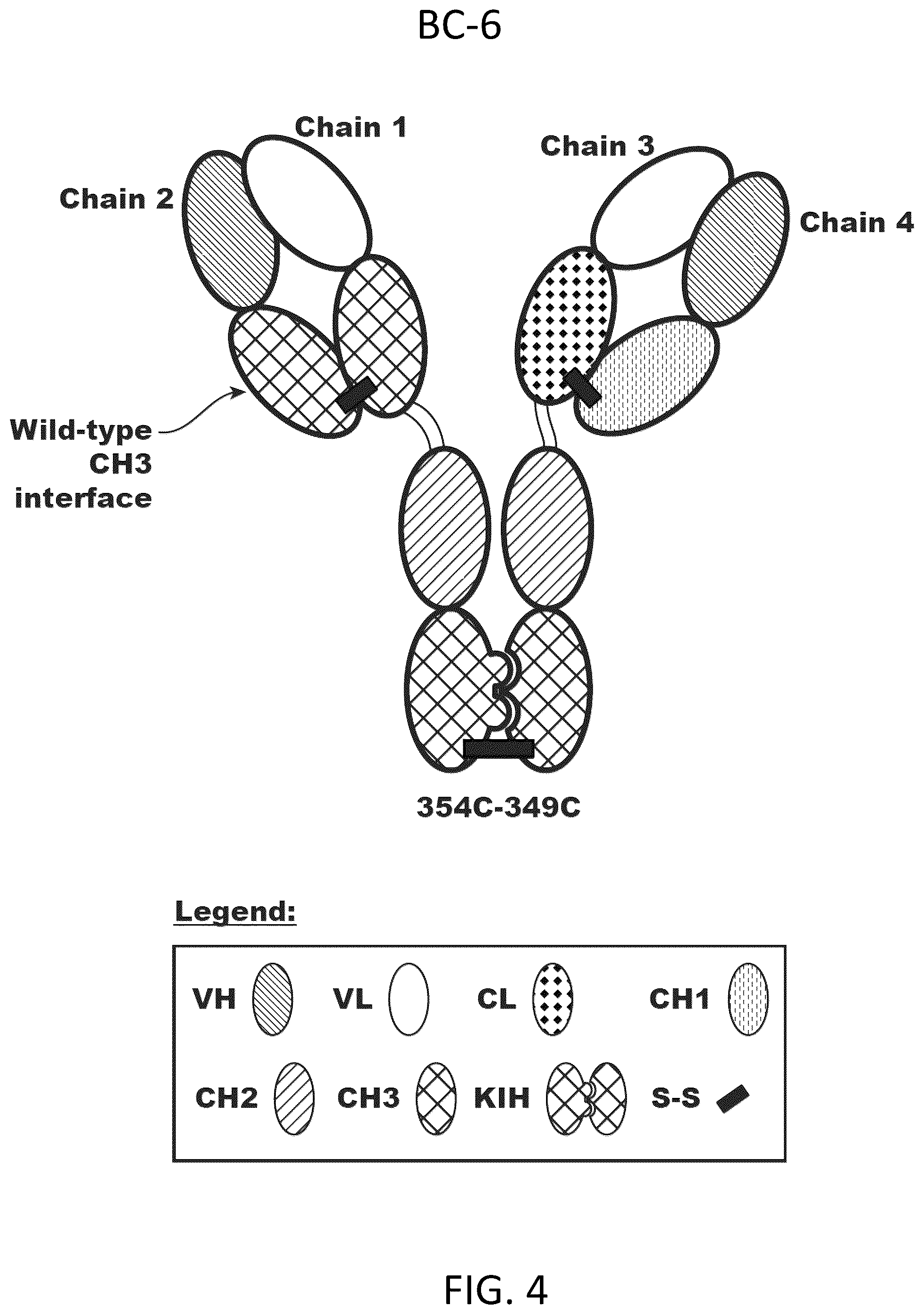 Patent US12312418 Figure 8 – Orthogonal mutations for heterodimerization