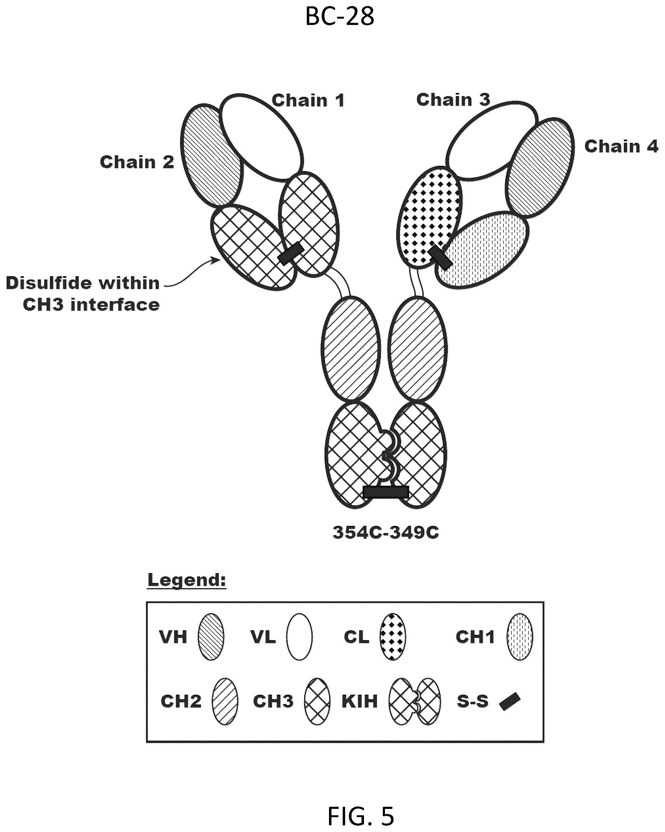 Patent US12312418 Figure 9 – Orthogonal mutations for heterodimerization