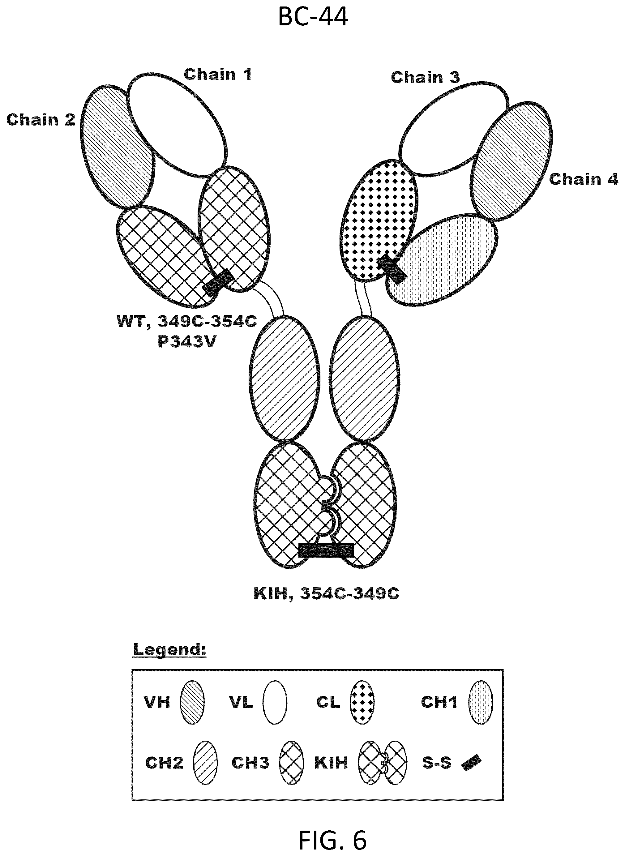 Patent US12312418 Figure 10 – Orthogonal mutations for heterodimerization