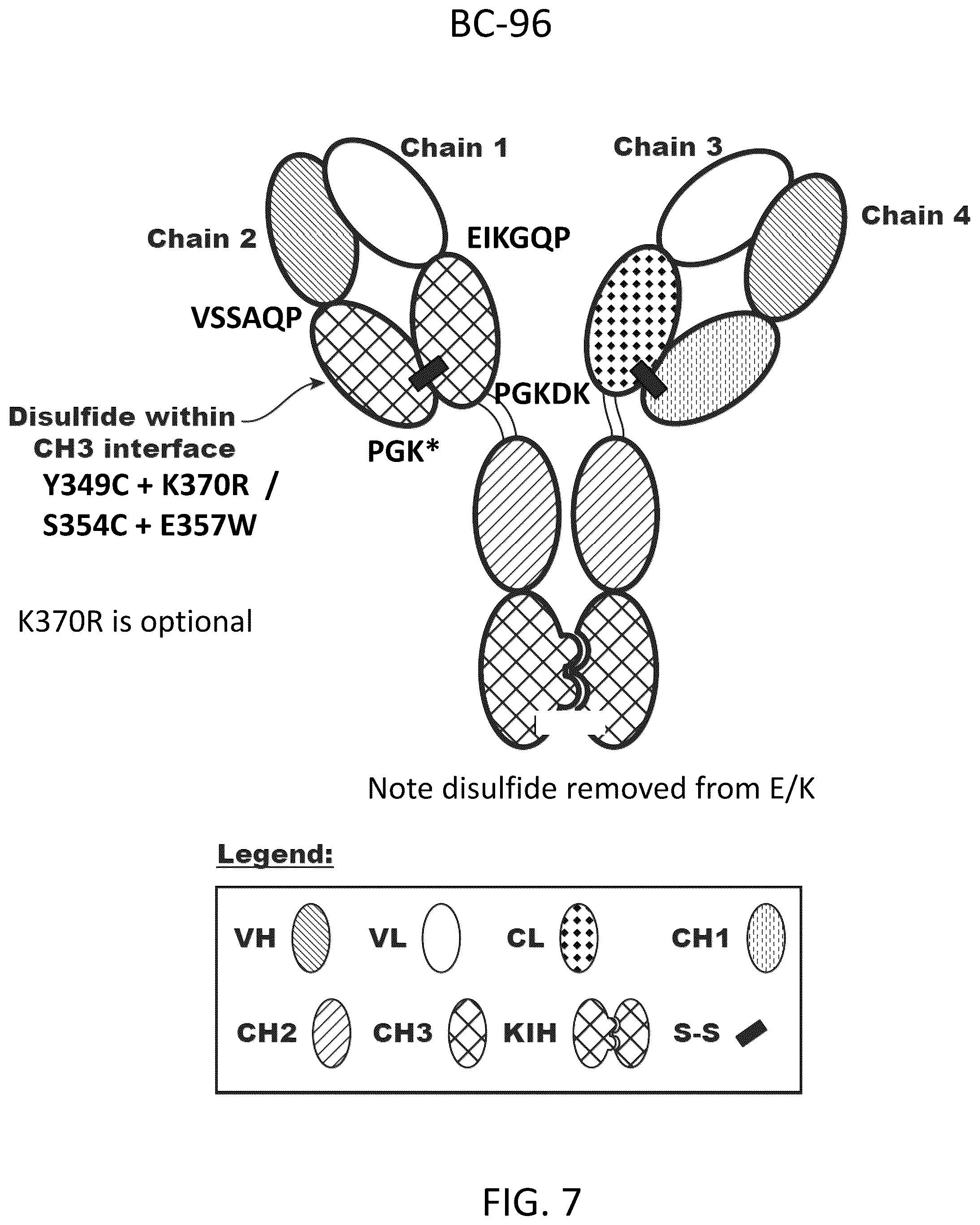 Patent US12312418 Figure 11 – Orthogonal mutations for heterodimerization