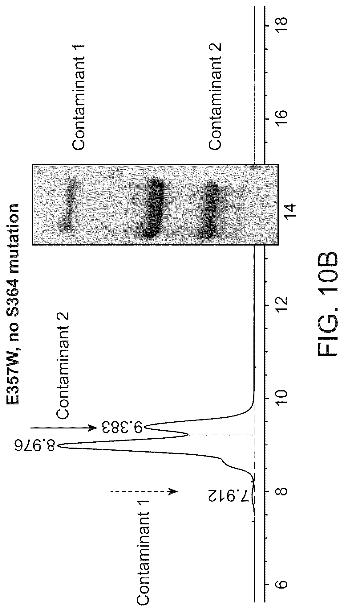 Patent US12312418 Figure 18 – Orthogonal mutations for heterodimerization