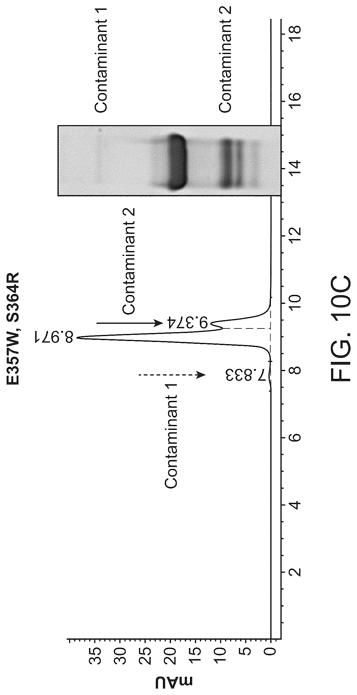 Patent US12312418 Figure 19 – Orthogonal mutations for heterodimerization