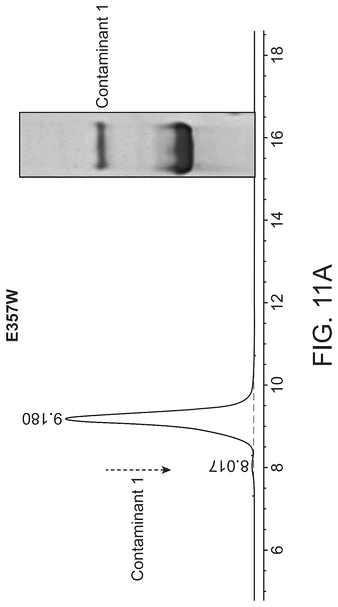 Patent US12312418 Figure 20 – Orthogonal mutations for heterodimerization