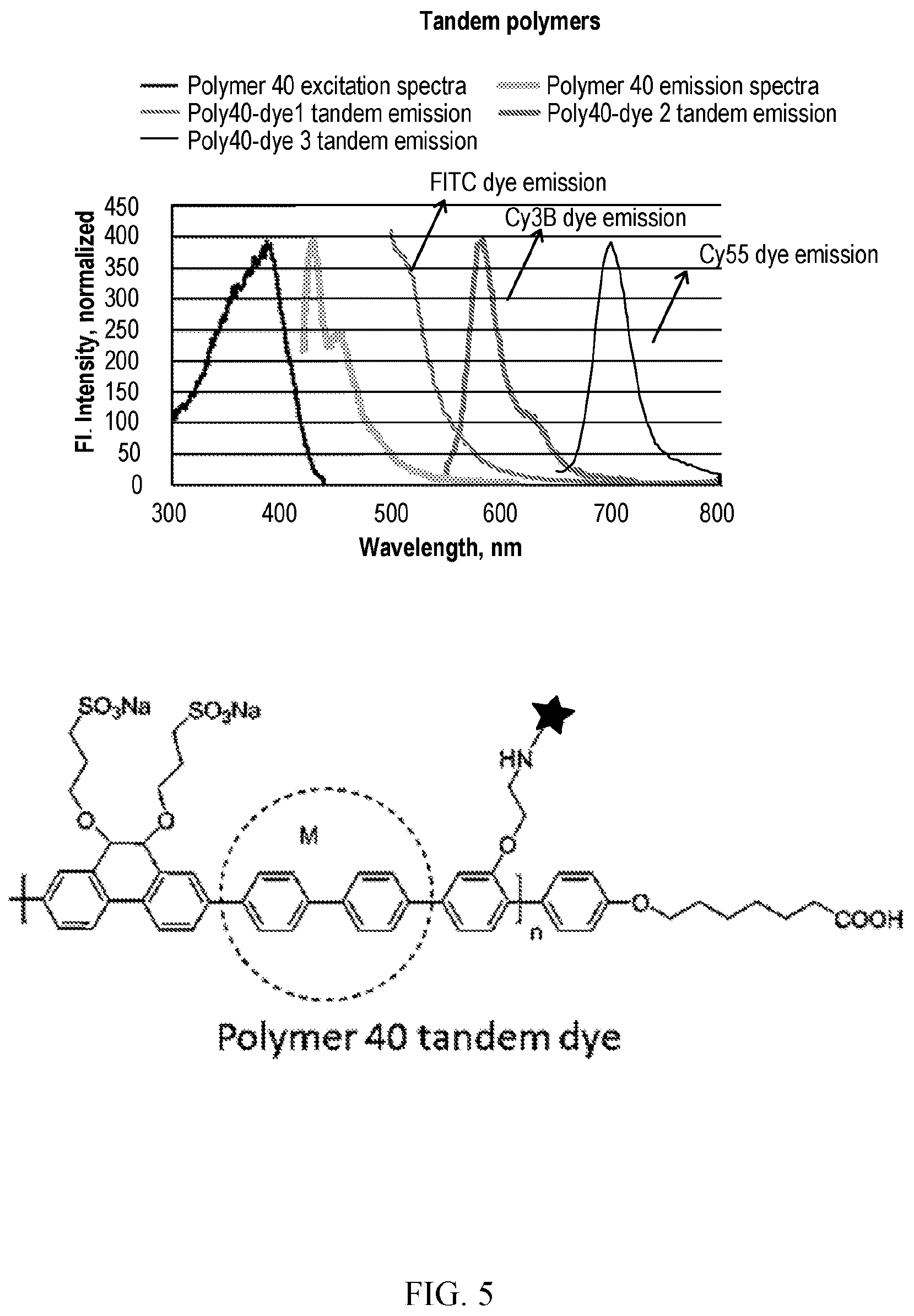 Patent US12312437 Figure 5 – Photoactive macromolecules and uses thereof