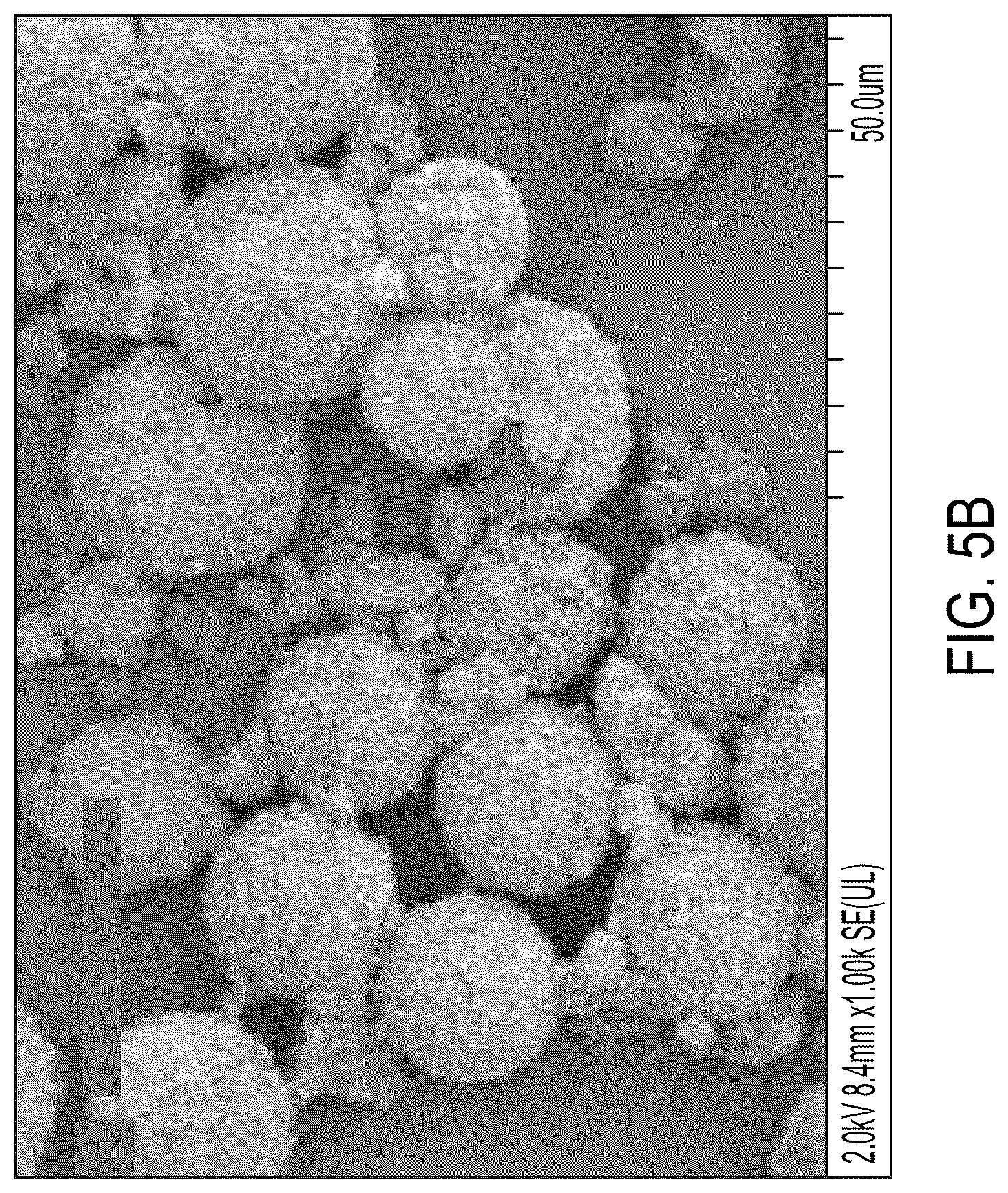 Patent US12312448 Figure 6 – Polyimide microparticles