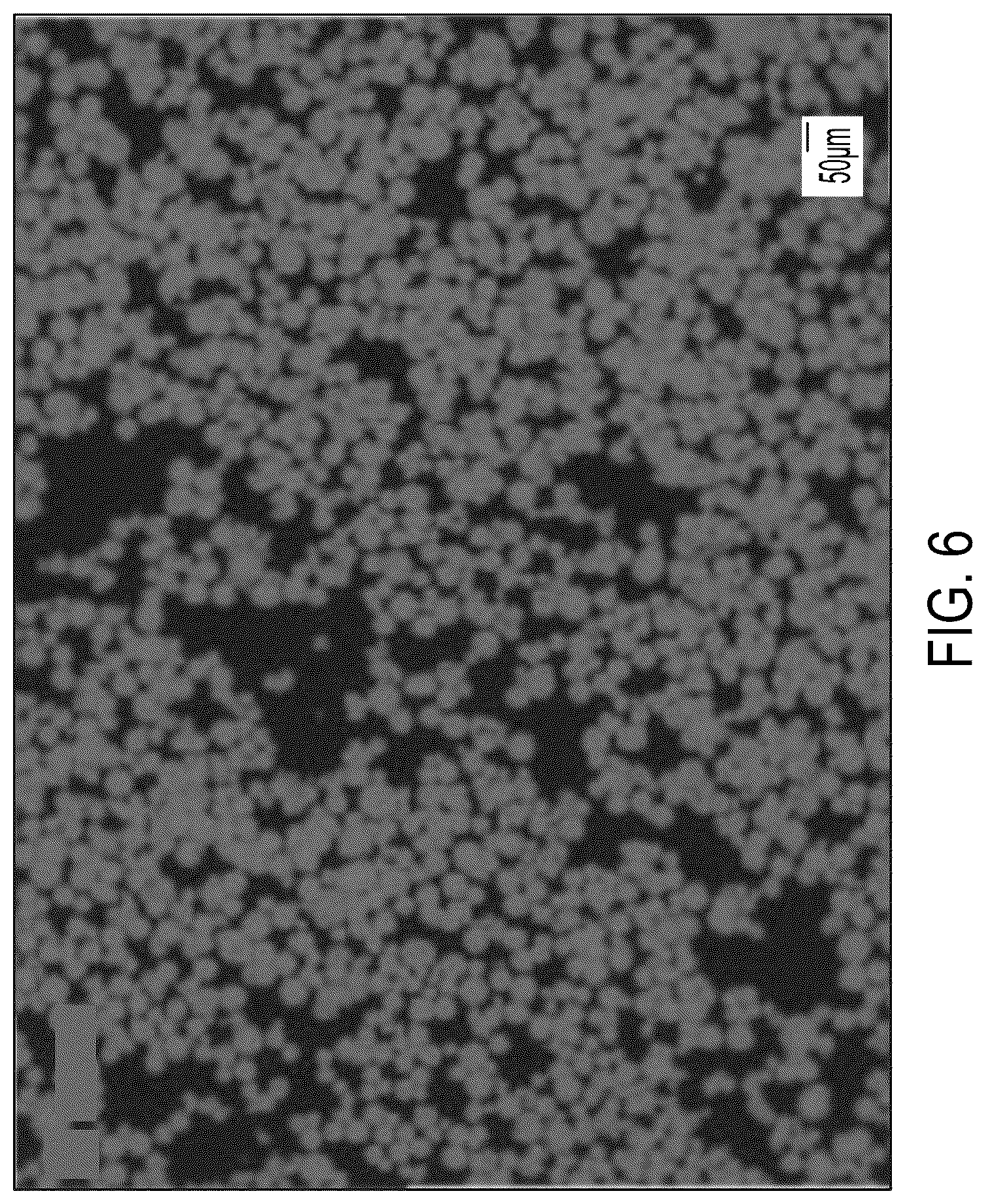 Patent US12312448 Figure 8 – Polyimide microparticles