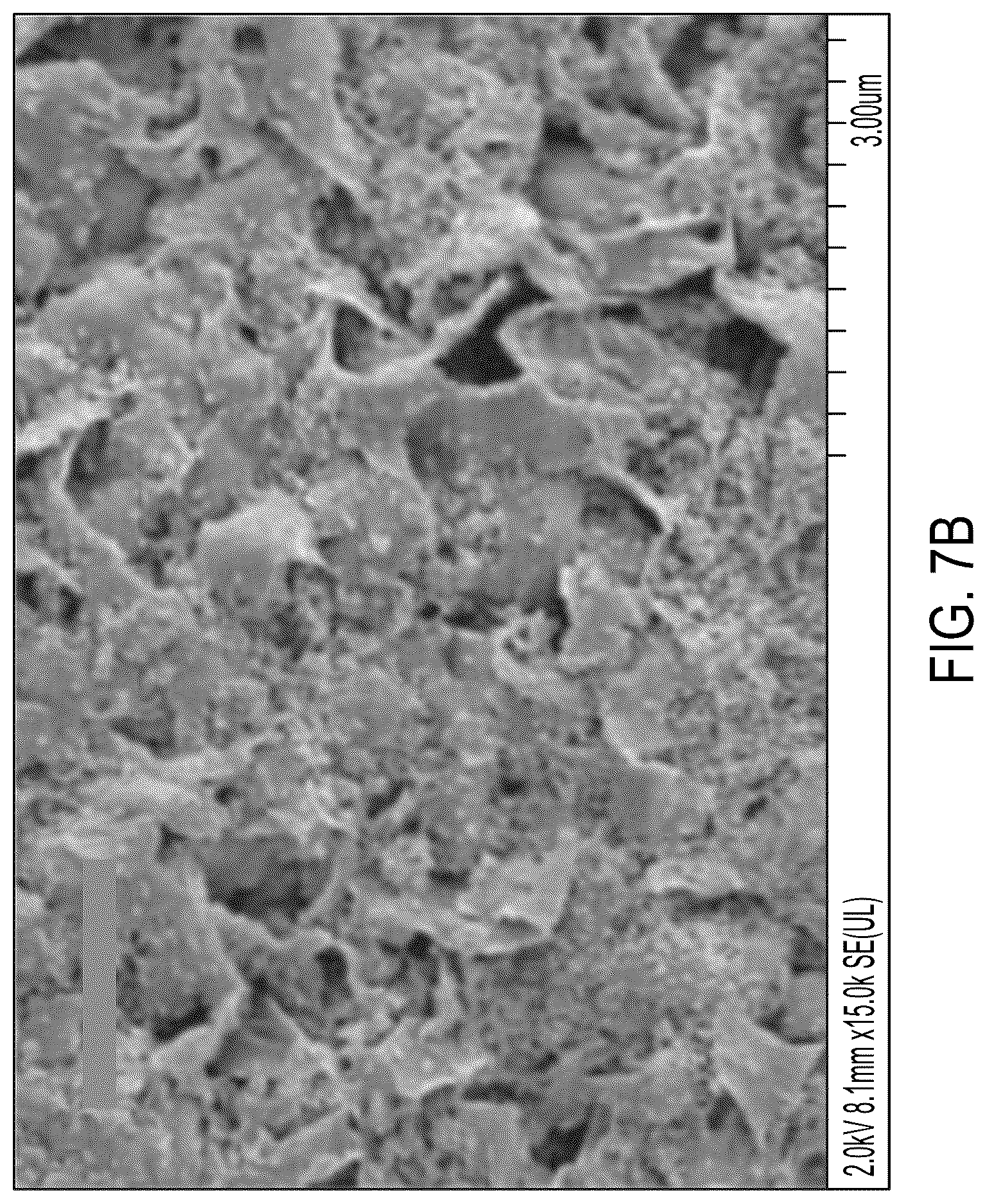 Patent US12312448 Figure 10 – Polyimide microparticles