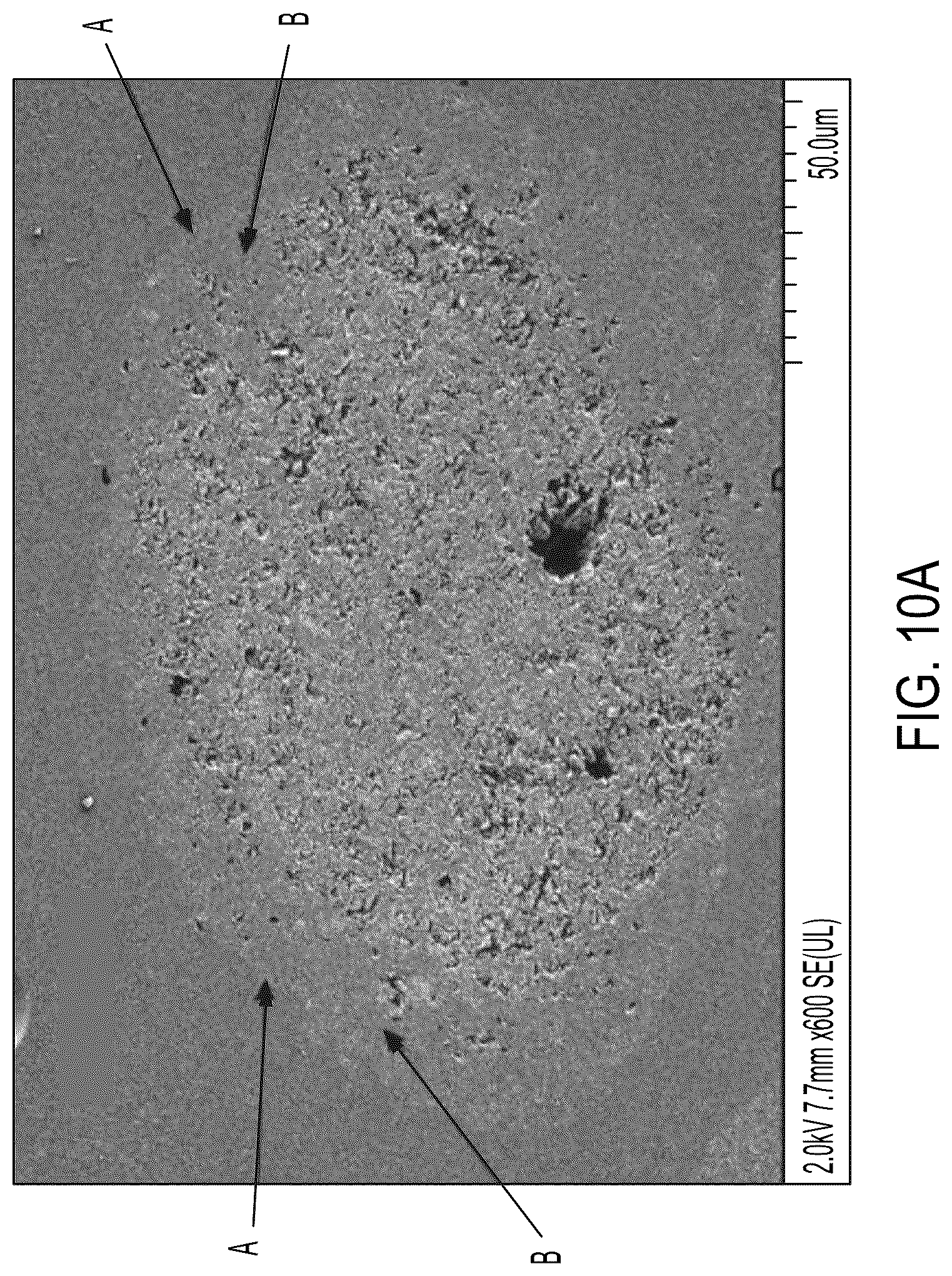 Patent US12312448 Figure 15 – Polyimide microparticles