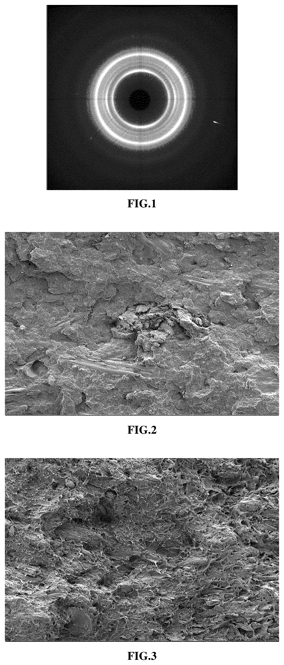 Patent US12312471 — High-toughness and high-strength wood-plastic composites and preparation method thereof — Figure 1