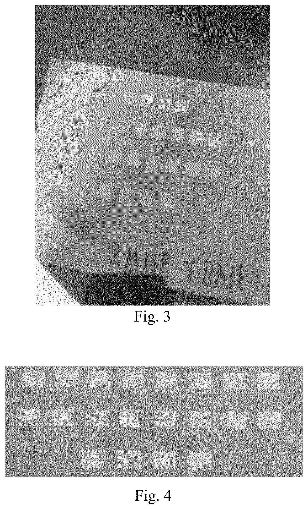 Patent US12312479 Figure 2 – Printable dispersion with tunable viscosity