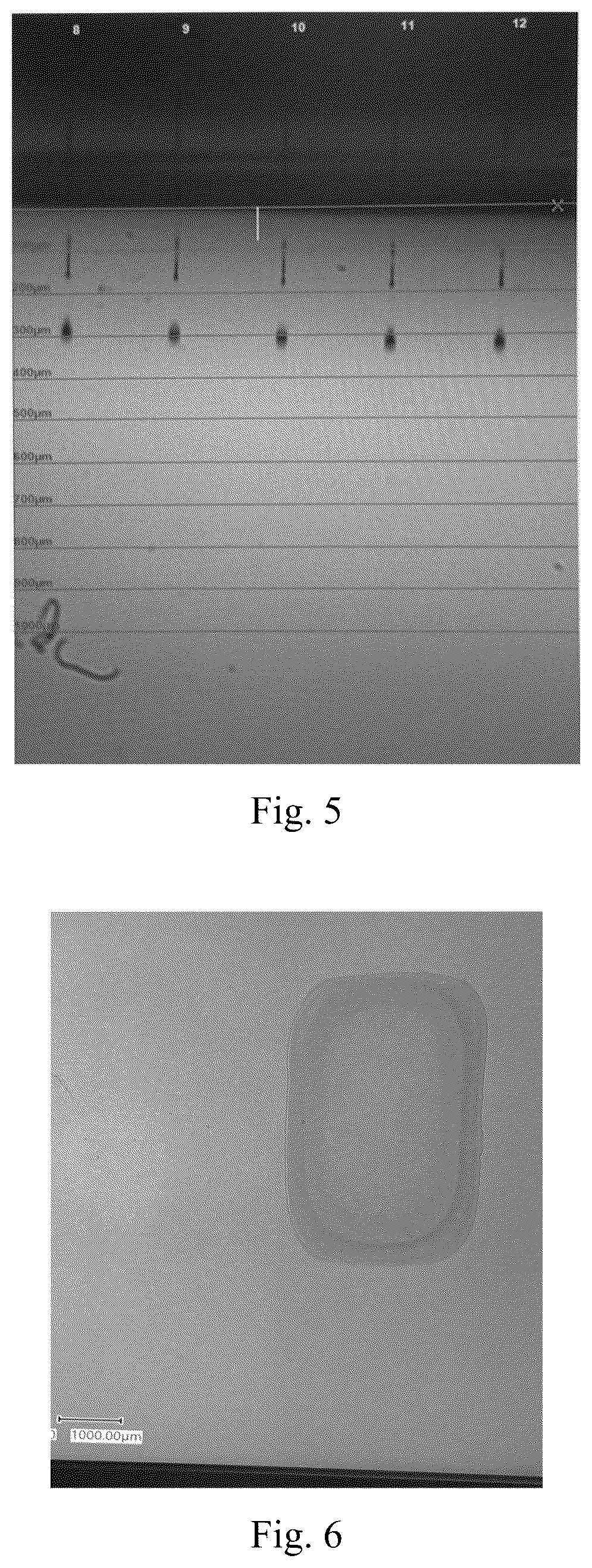 Patent US12312479 Figure 3 – Printable dispersion with tunable viscosity