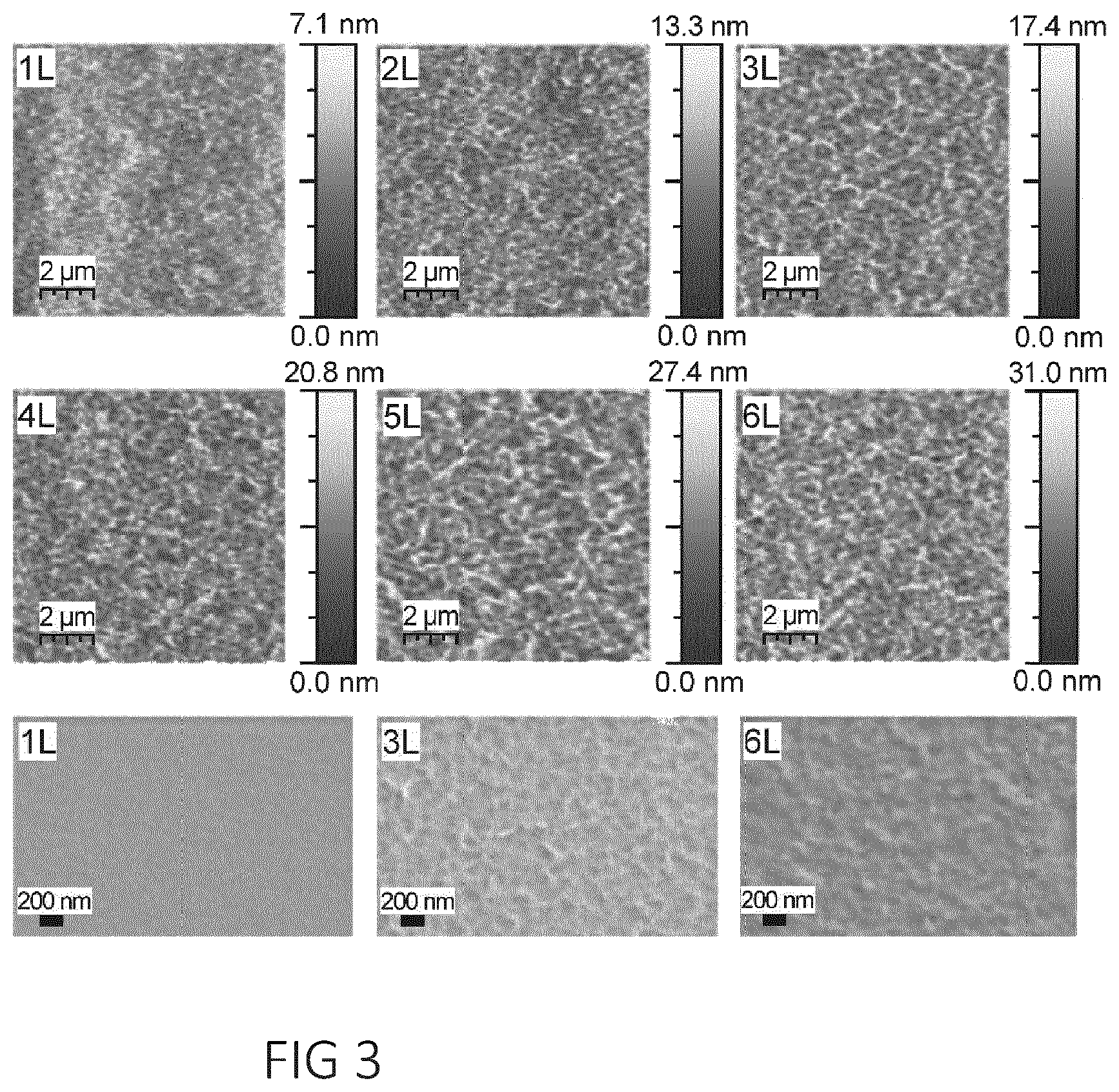 Patent US12312492 Figure 2 – Method for producing a polymer film