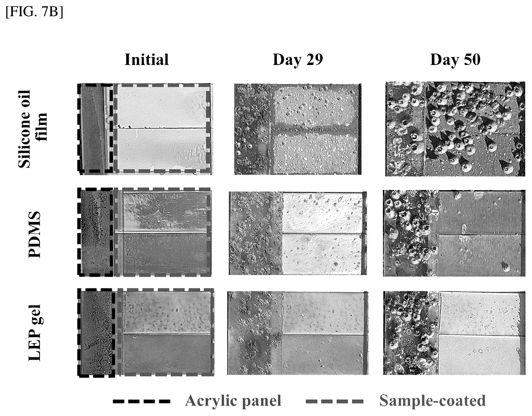 Patent US12312493 Figure 8 – Coating method of long-chain entangled PDMS gel with sustainable self-replenishment of lubricating layer