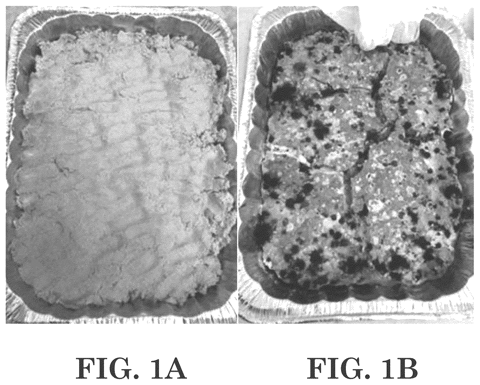 Patent US12312557 Figure 1 – Methods of making antimicrobial compositions and/or virucidal disinfectant compositions from vegetable oil, and related antimicrobial compositions and/or virucidal disinfectant compositions and uses