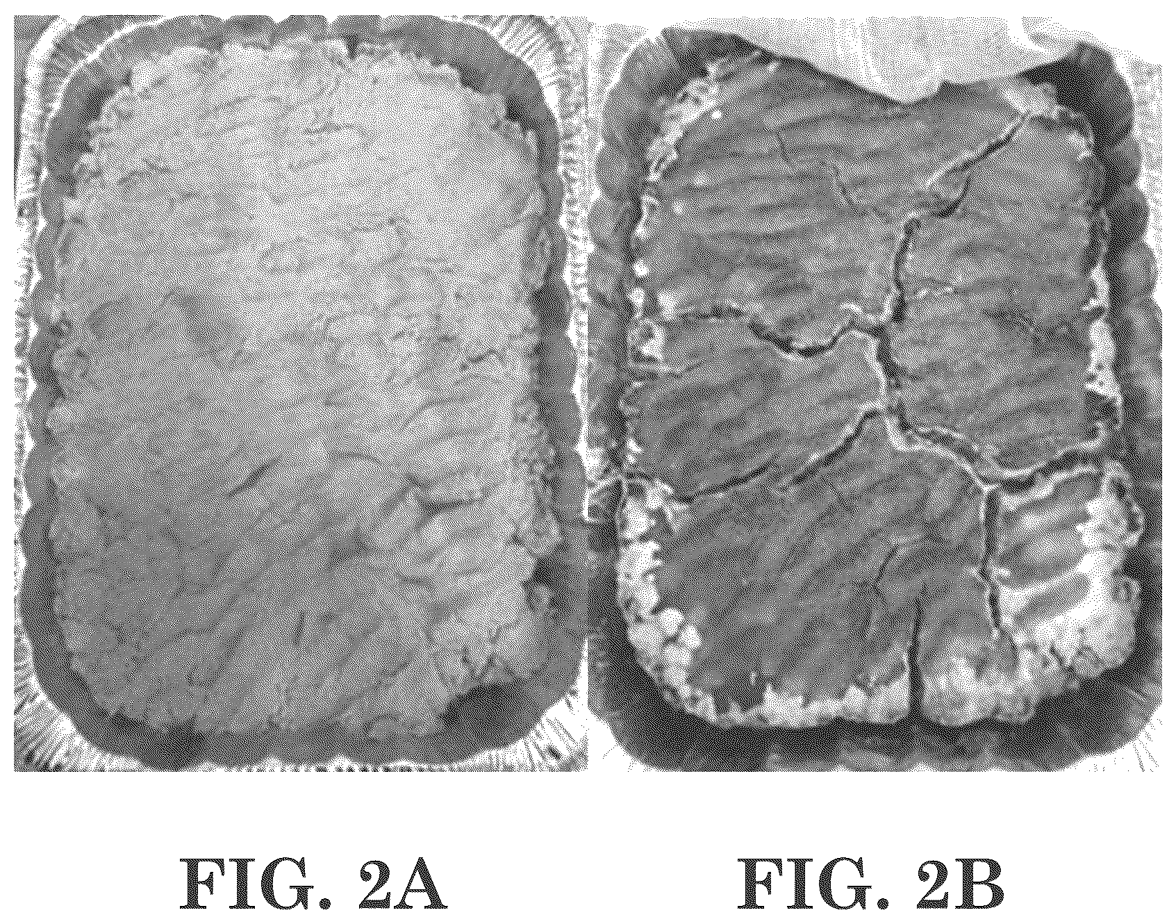 Patent US12312557 Figure 2 – Methods of making antimicrobial compositions and/or virucidal disinfectant compositions from vegetable oil, and related antimicrobial compositions and/or virucidal disinfectant compositions and uses