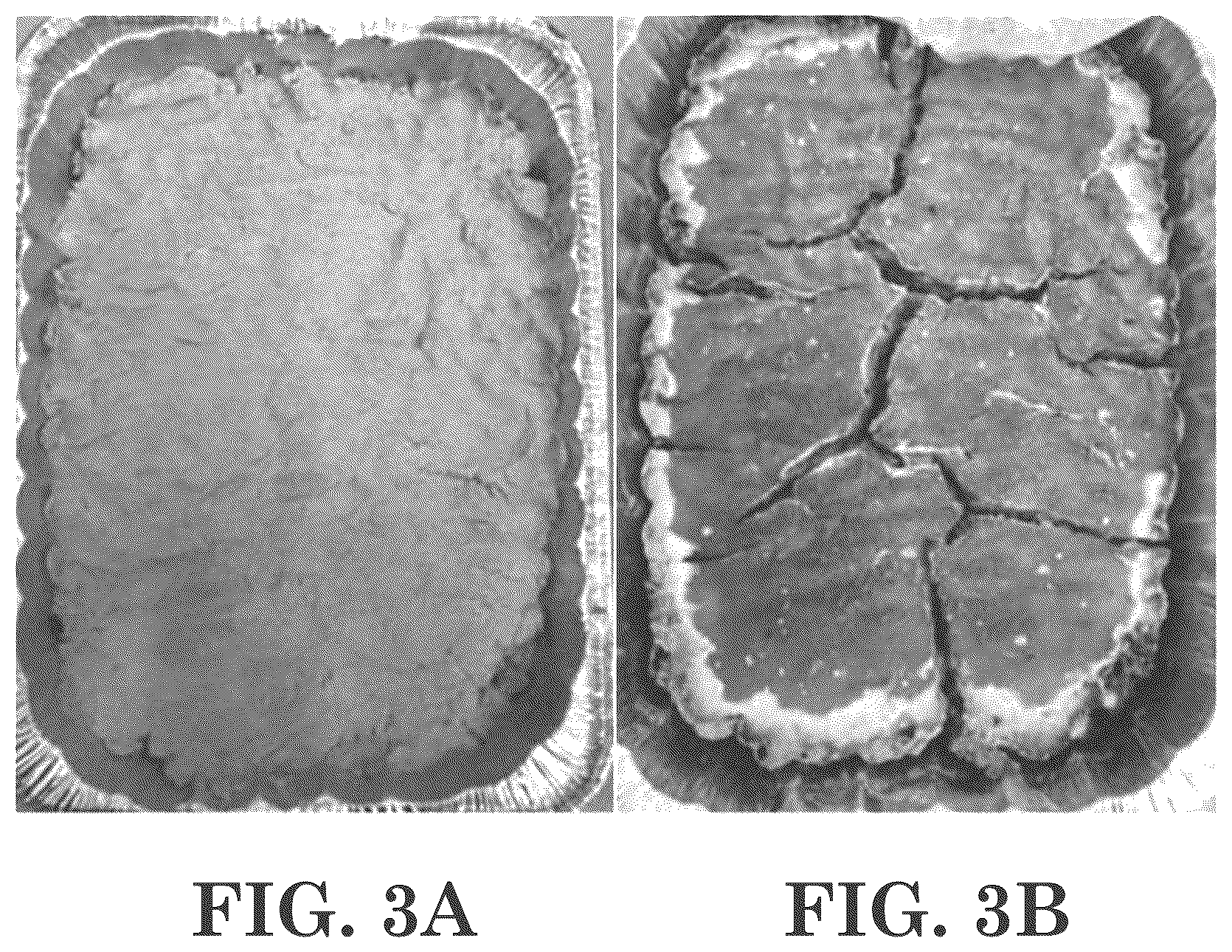 Patent US12312557 Figure 3 – Methods of making antimicrobial compositions and/or virucidal disinfectant compositions from vegetable oil, and related antimicrobial compositions and/or virucidal disinfectant compositions and uses