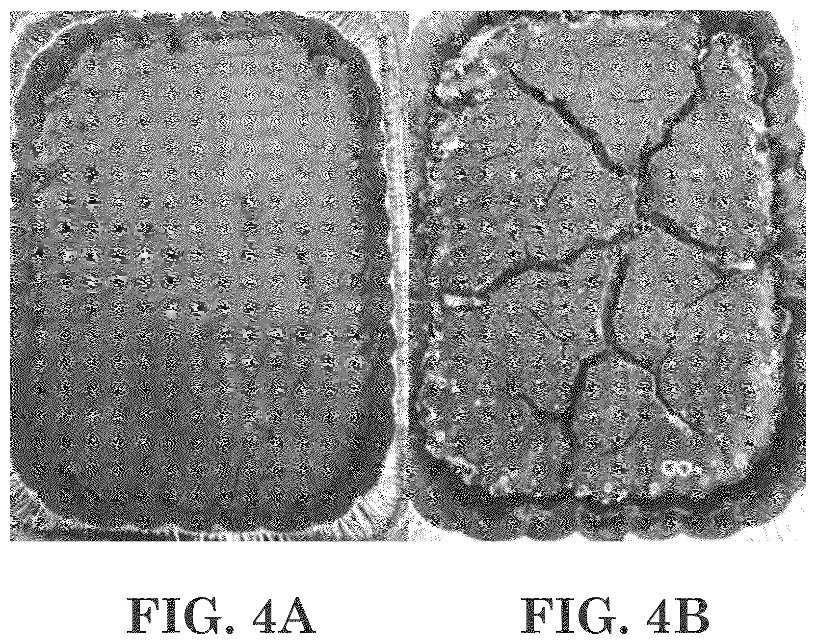 Patent US12312557 Figure 4 – Methods of making antimicrobial compositions and/or virucidal disinfectant compositions from vegetable oil, and related antimicrobial compositions and/or virucidal disinfectant compositions and uses
