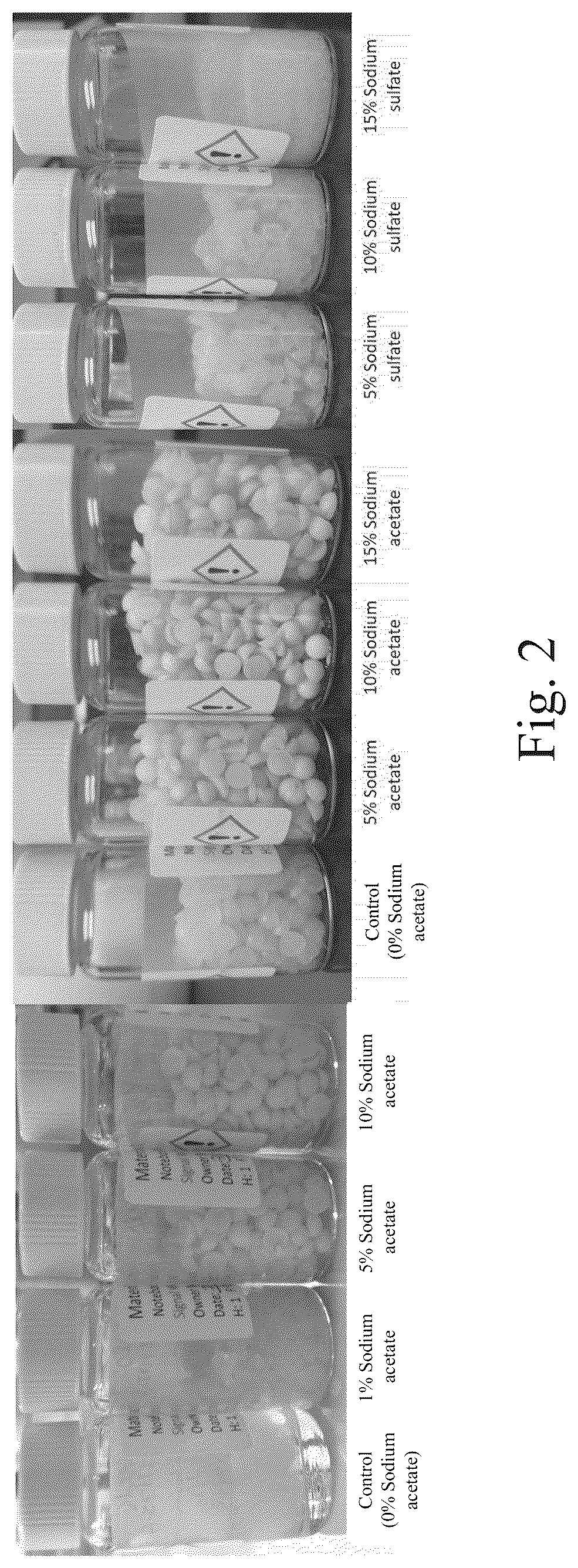 Patent US12312567 Figure 2 – Particulate laundry scent additive comprising a polyethylene glycol/ethoxylated alcohol polymer composition