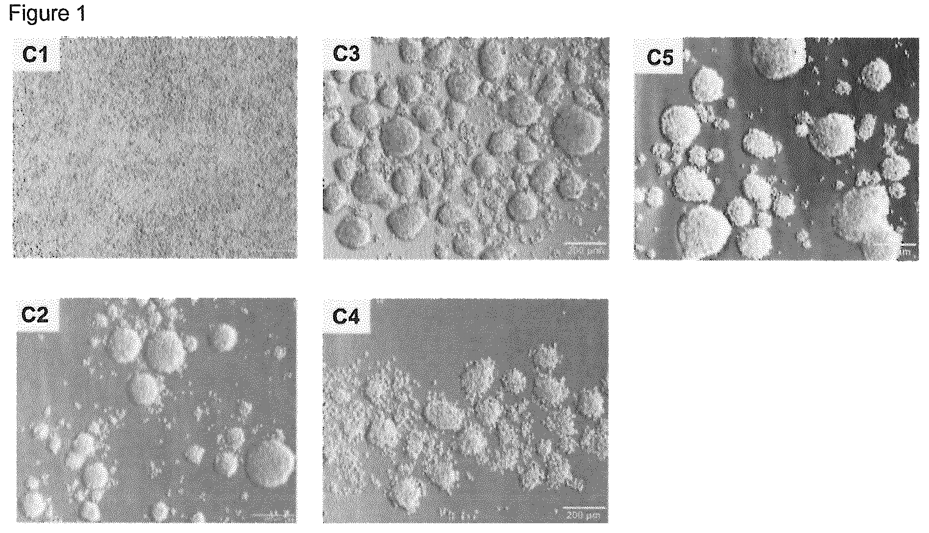 Patent US12312572 Figure 1 – Devices for cultivating cells coated with a copolymer of polyethyleneglykol (meth)acrylate