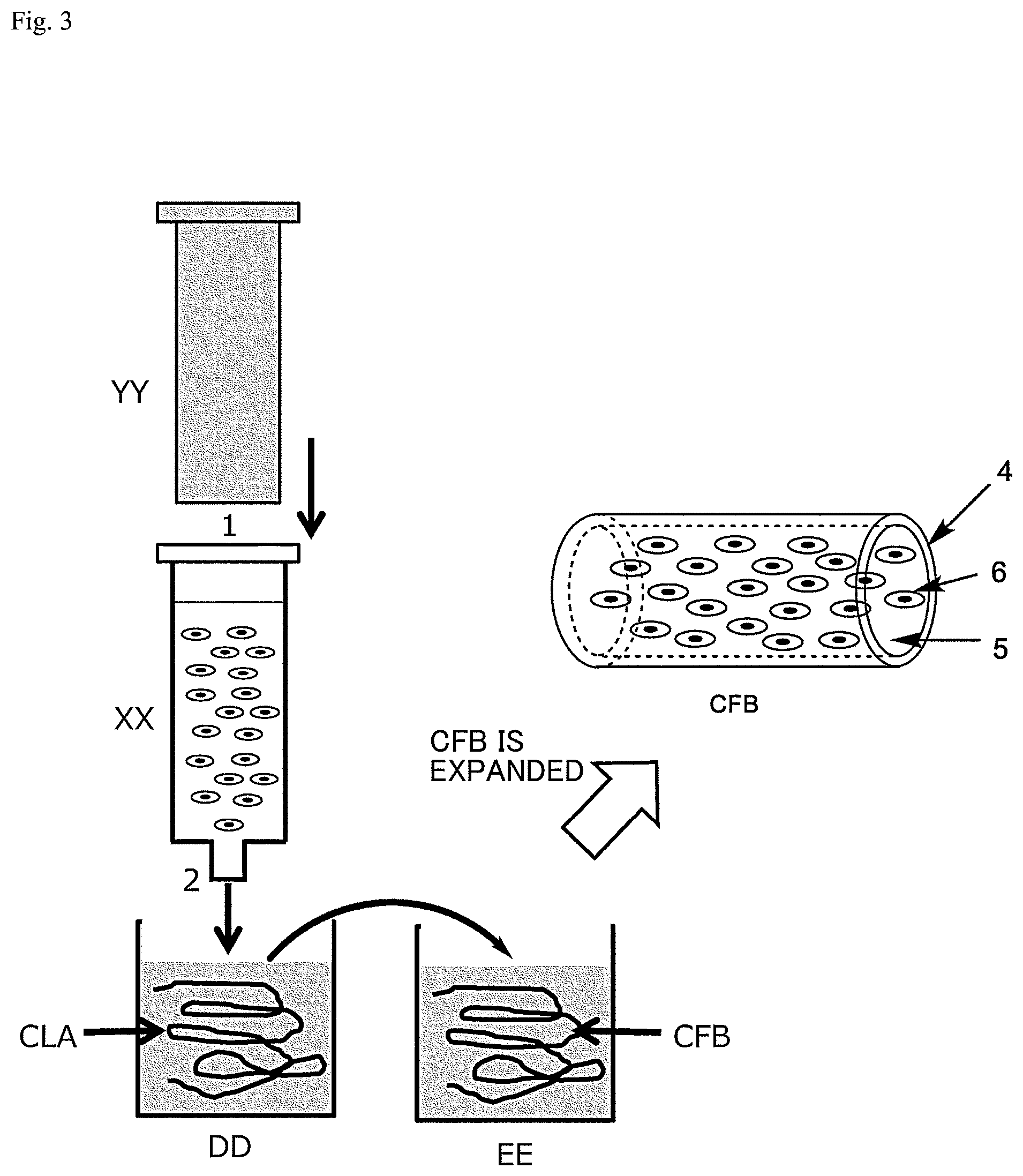 Patent US12312574 Figure 2 – Polymer-coated crosslinked alginate gel fiber