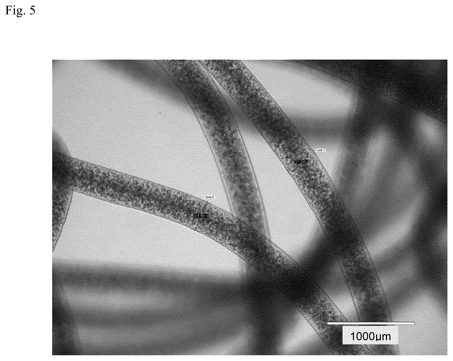 Patent US12312574 Figure 4 – Polymer-coated crosslinked alginate gel fiber