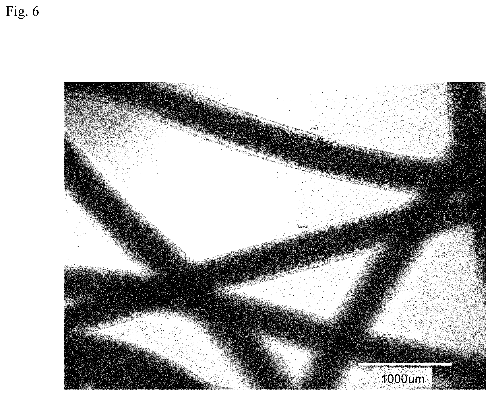 Patent US12312574 Figure 5 – Polymer-coated crosslinked alginate gel fiber