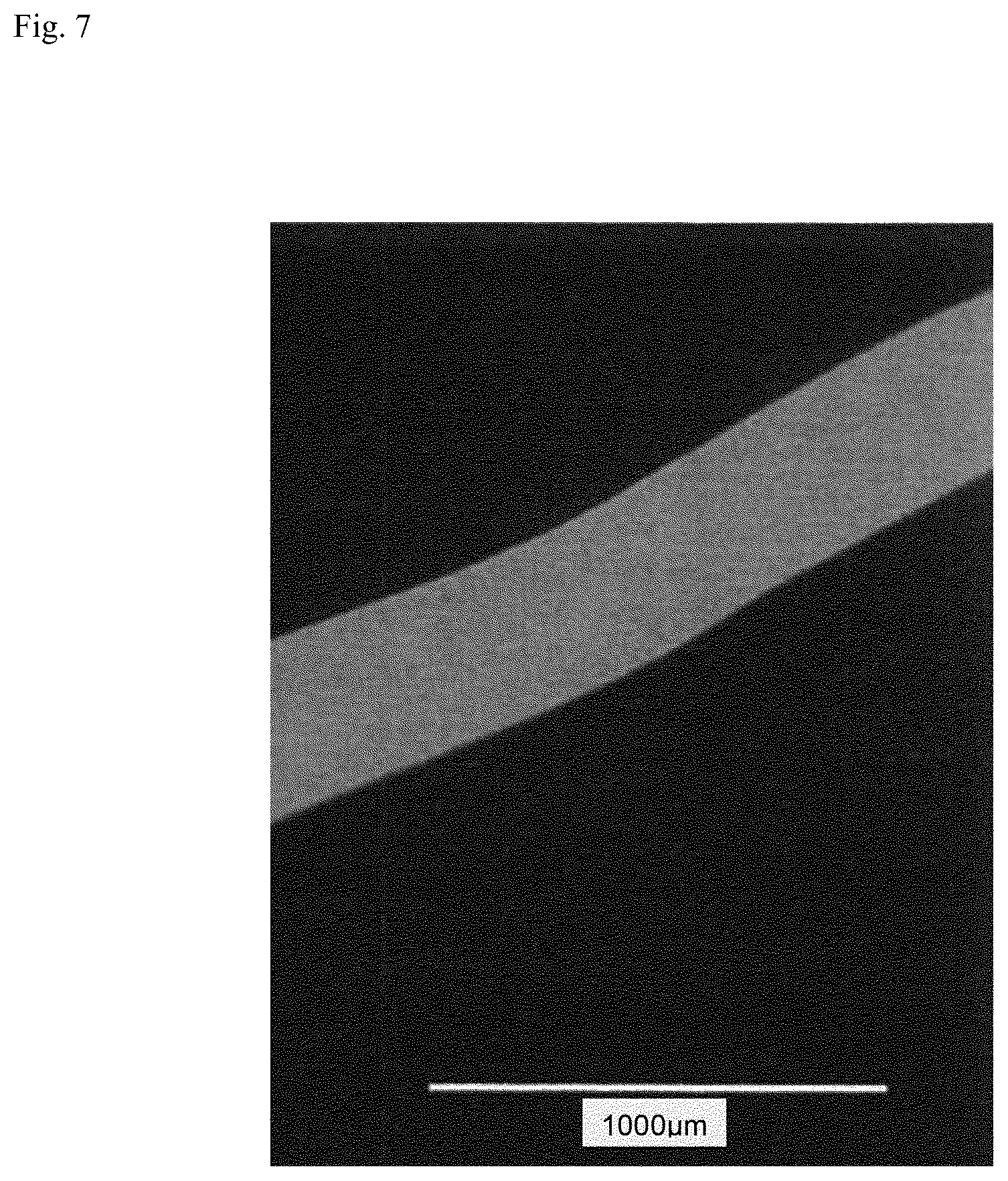 Patent US12312574 Figure 6 – Polymer-coated crosslinked alginate gel fiber