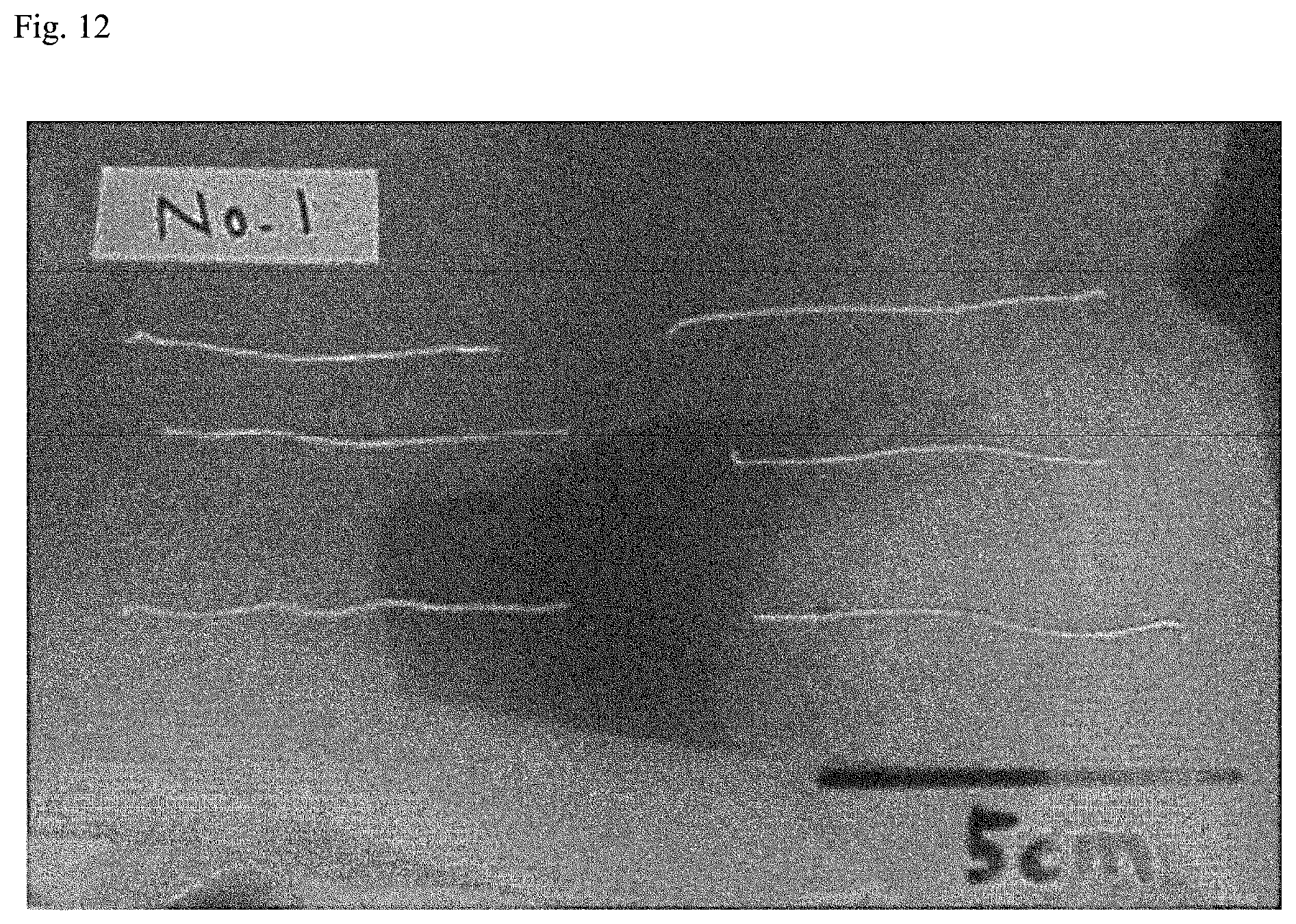 Patent US12312574 Figure 9 – Polymer-coated crosslinked alginate gel fiber
