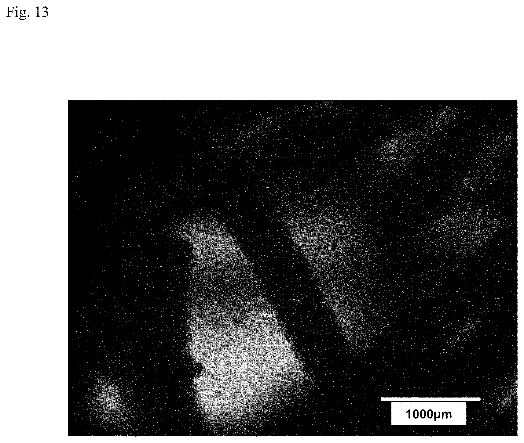 Patent US12312574 Figure 10 – Polymer-coated crosslinked alginate gel fiber