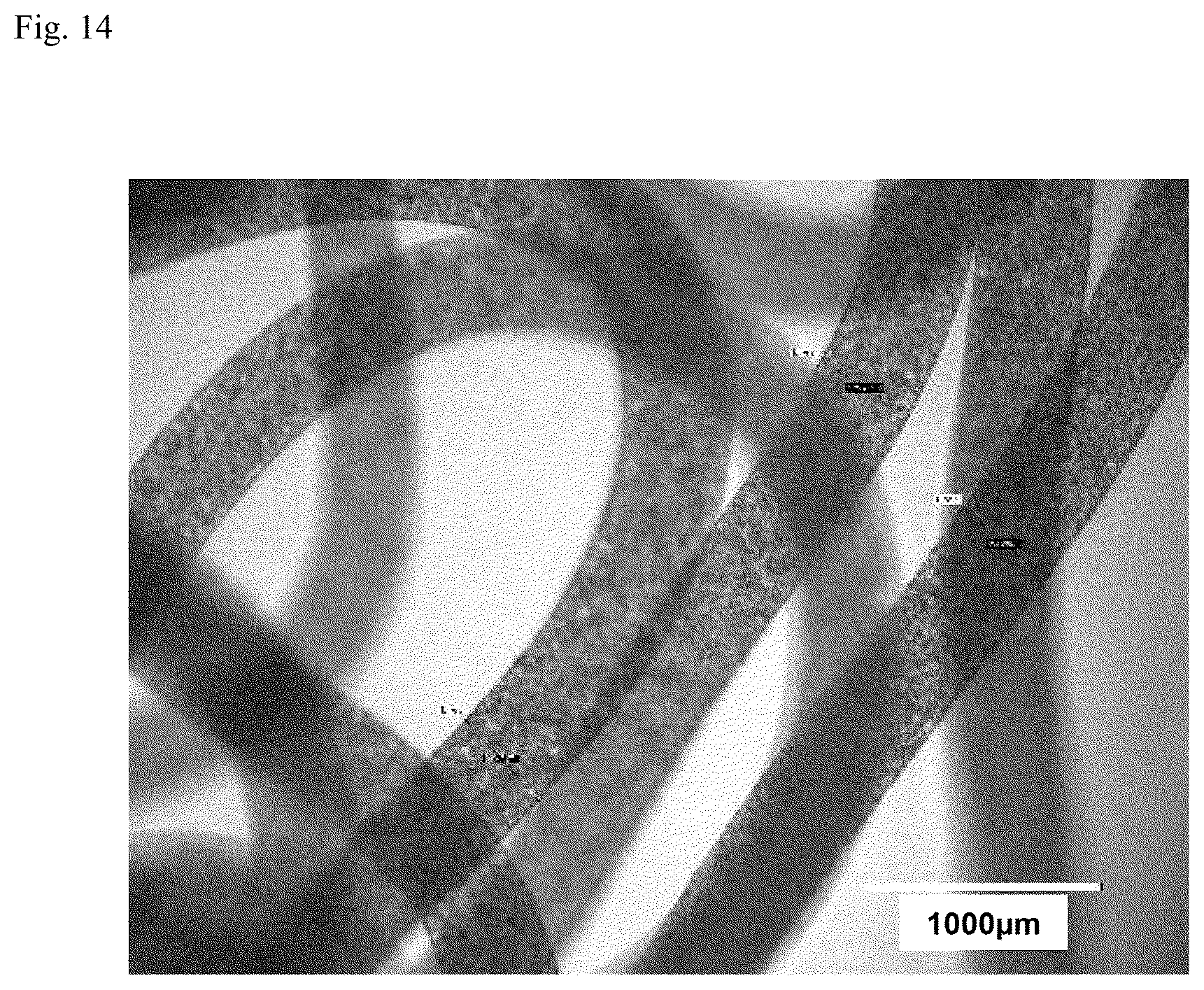 Patent US12312574 Figure 11 – Polymer-coated crosslinked alginate gel fiber