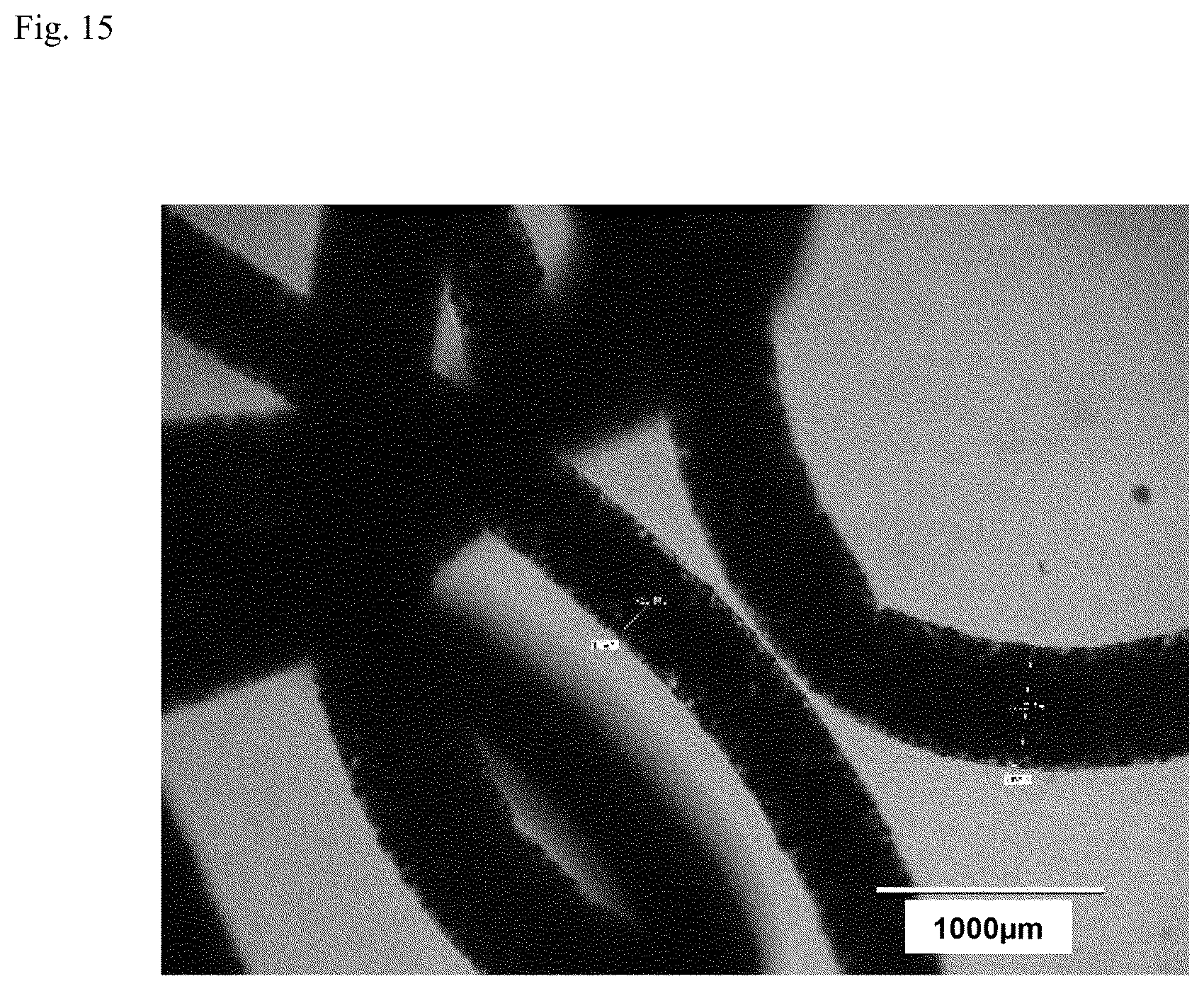 Patent US12312574 Figure 12 – Polymer-coated crosslinked alginate gel fiber