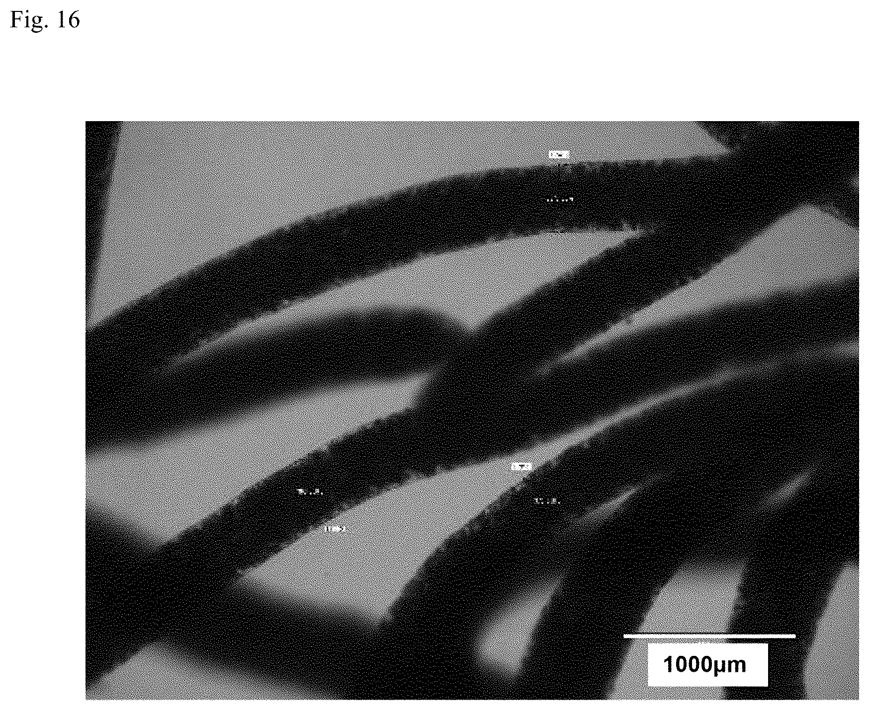 Patent US12312574 Figure 13 – Polymer-coated crosslinked alginate gel fiber