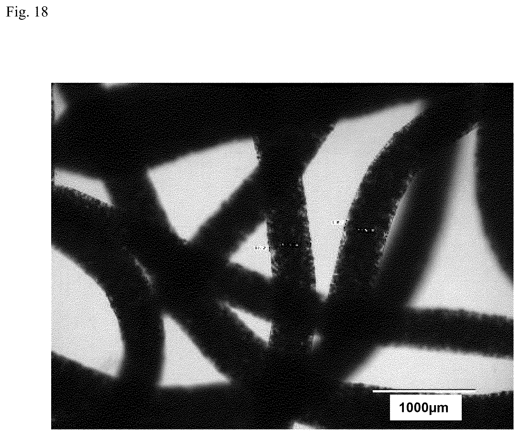 Patent US12312574 Figure 15 – Polymer-coated crosslinked alginate gel fiber