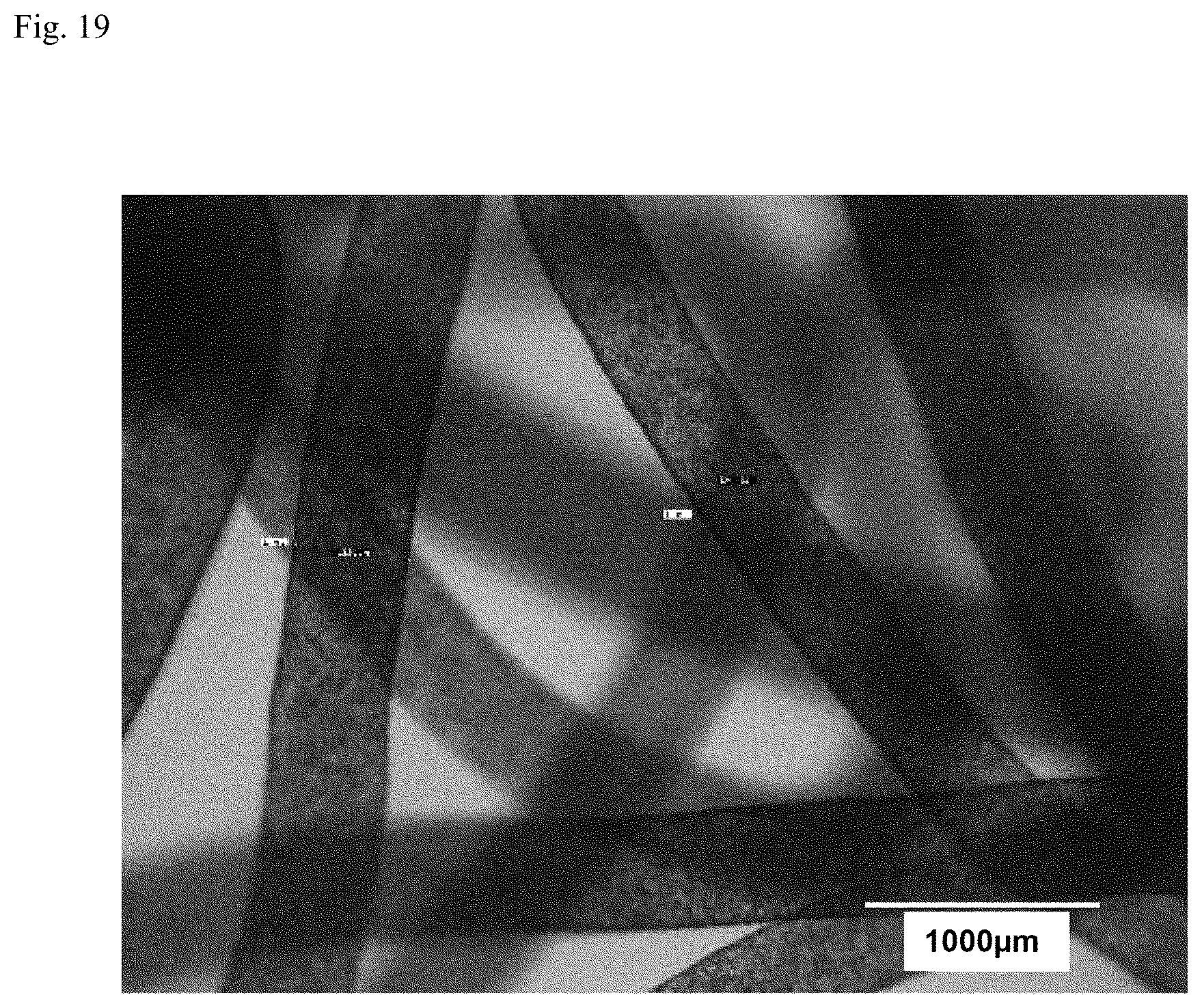 Patent US12312574 Figure 16 – Polymer-coated crosslinked alginate gel fiber