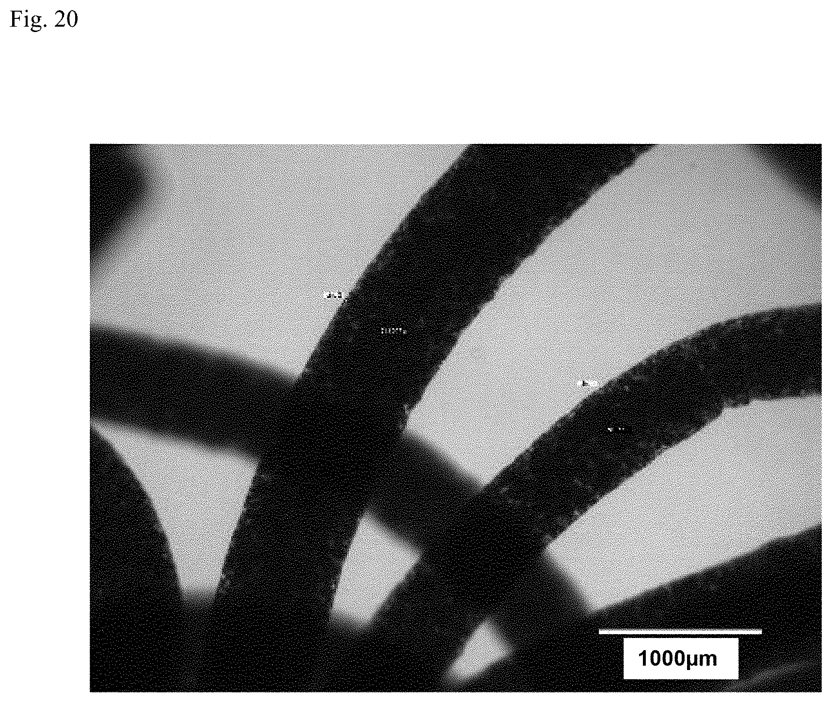 Patent US12312574 Figure 17 – Polymer-coated crosslinked alginate gel fiber