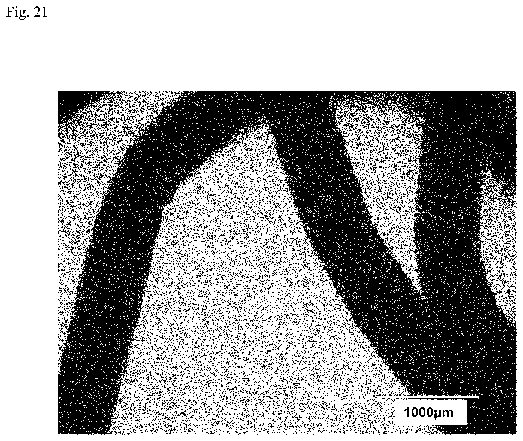 Patent US12312574 Figure 18 – Polymer-coated crosslinked alginate gel fiber