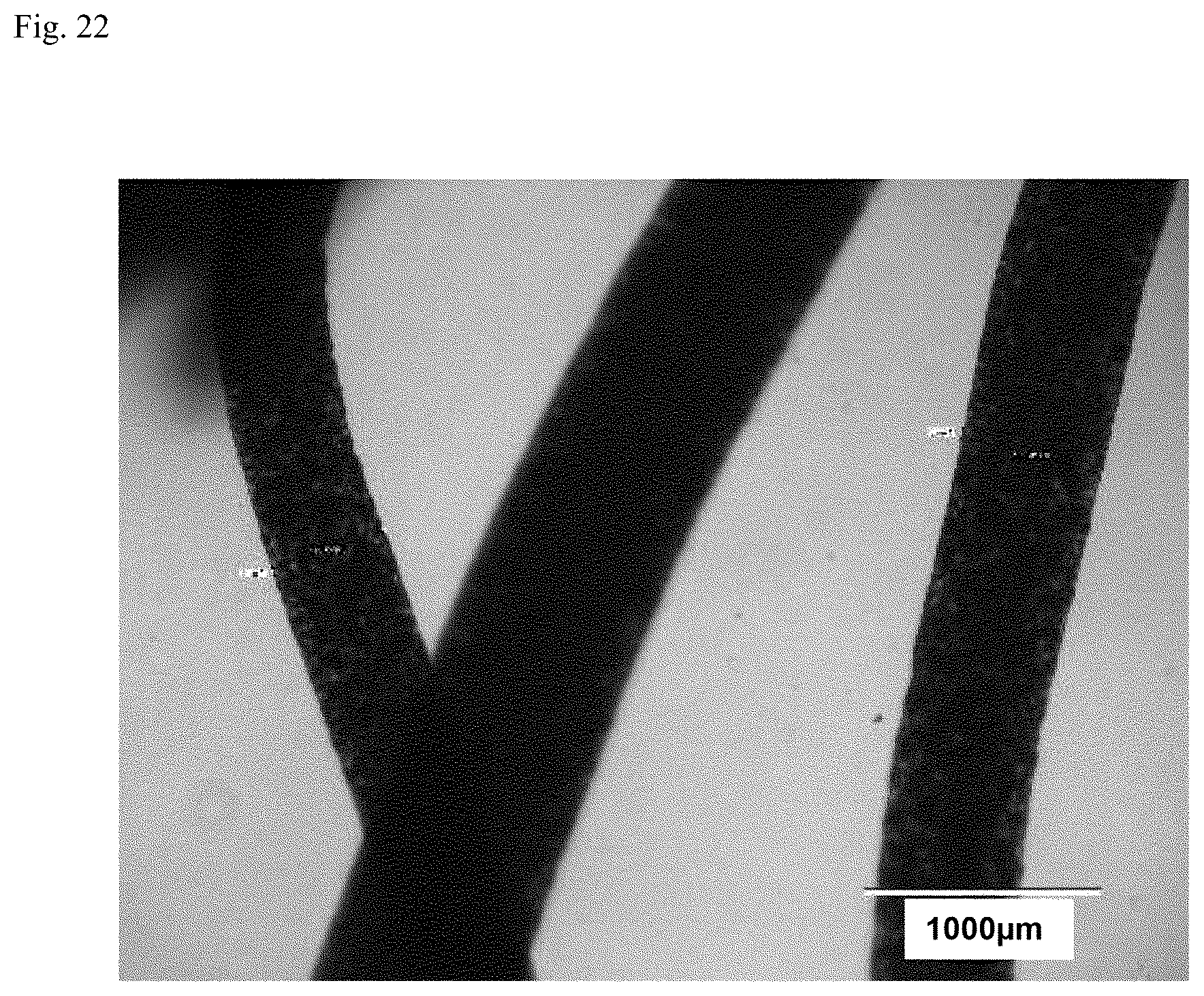 Patent US12312574 Figure 19 – Polymer-coated crosslinked alginate gel fiber