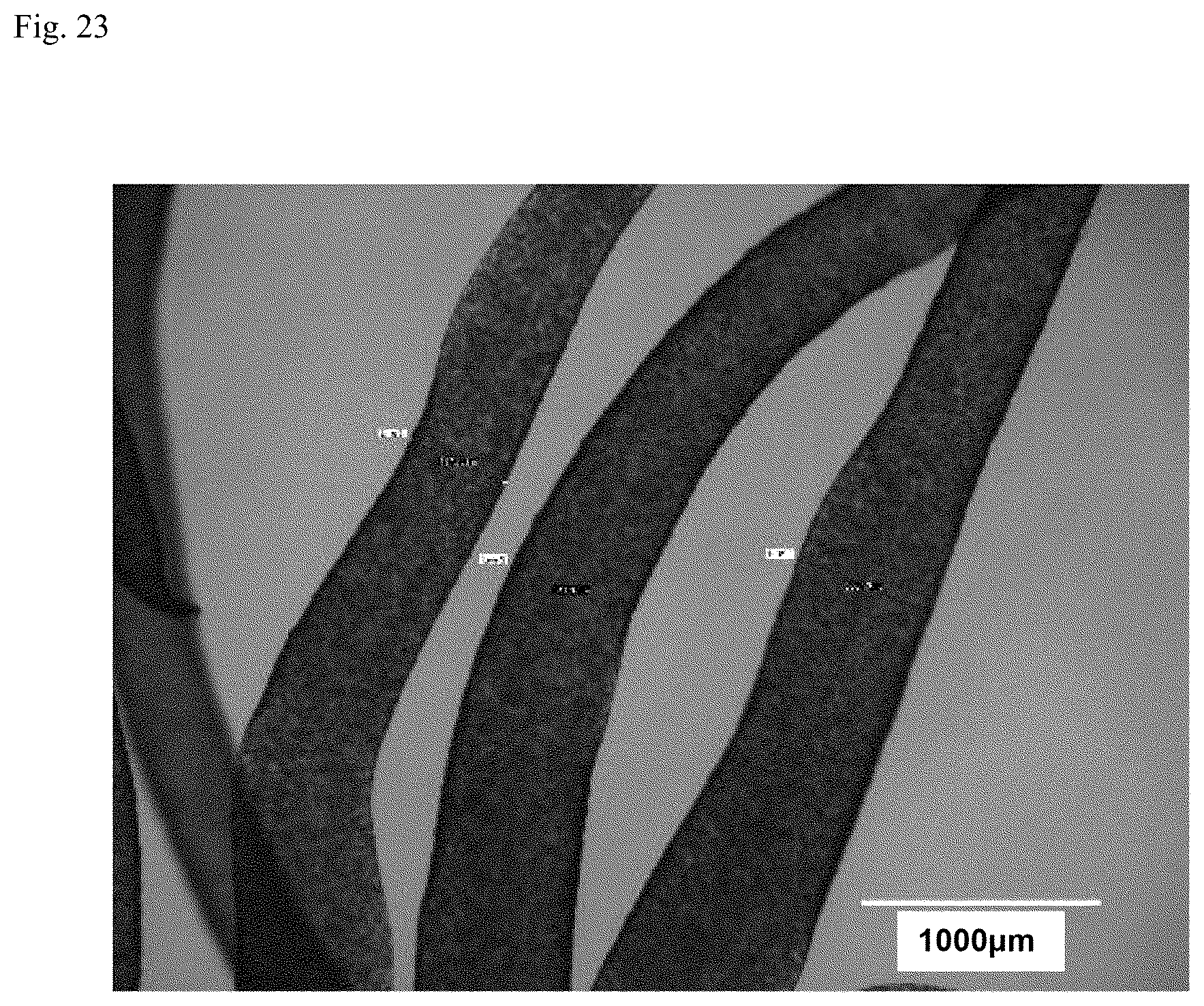 Patent US12312574 Figure 20 – Polymer-coated crosslinked alginate gel fiber