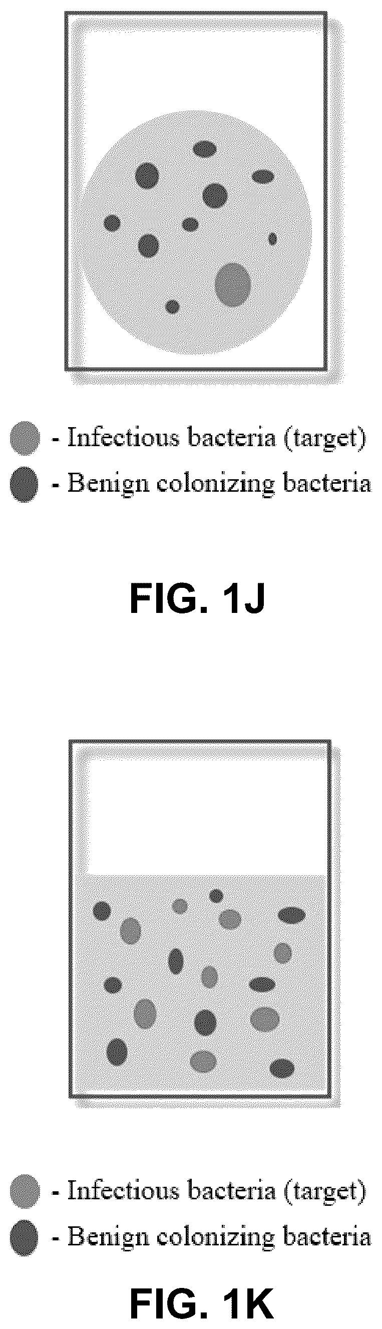 Patent US12312579 Figure 8 – Method for culturing H. pylori for future testing