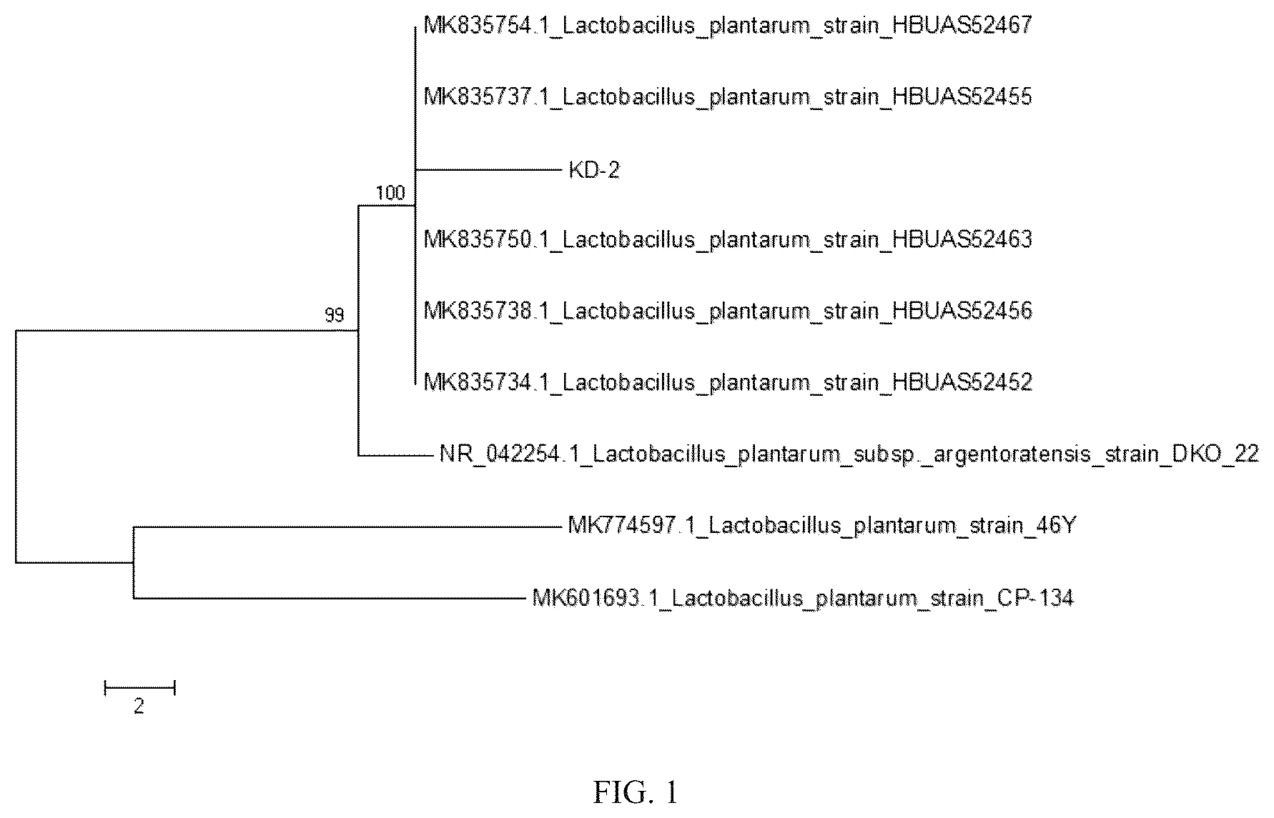 Patent US12312580 Figure 1 – Strain of selenium-enriched Lactiplantibacillus plantarum KD-2 and applications in preparing fermented goat milk and goat milk powder