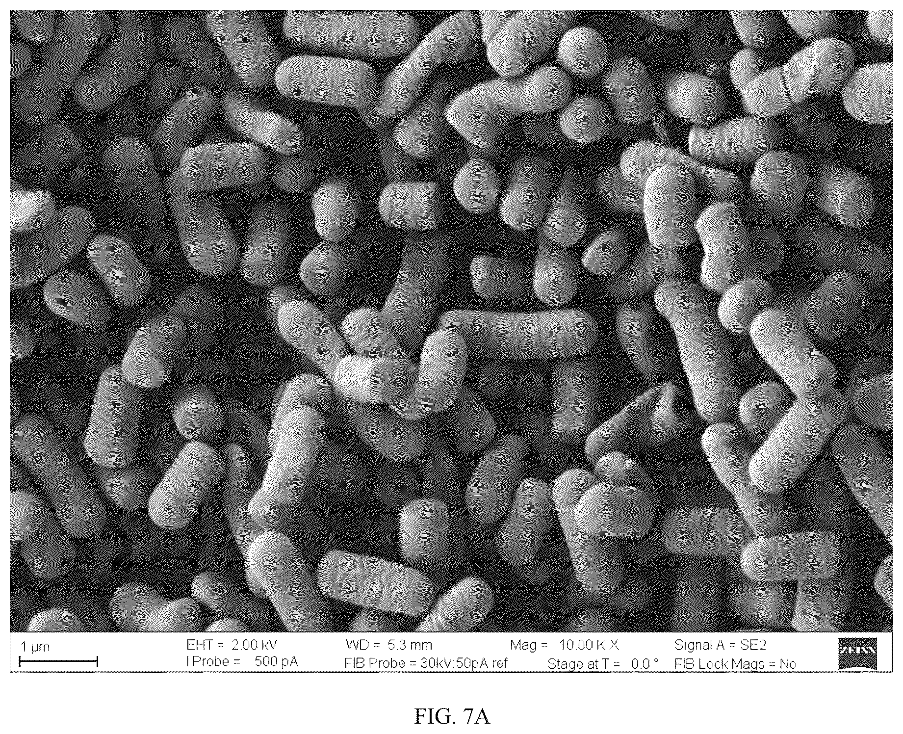 Patent US12312580 Figure 7 – Strain of selenium-enriched Lactiplantibacillus plantarum KD-2 and applications in preparing fermented goat milk and goat milk powder
