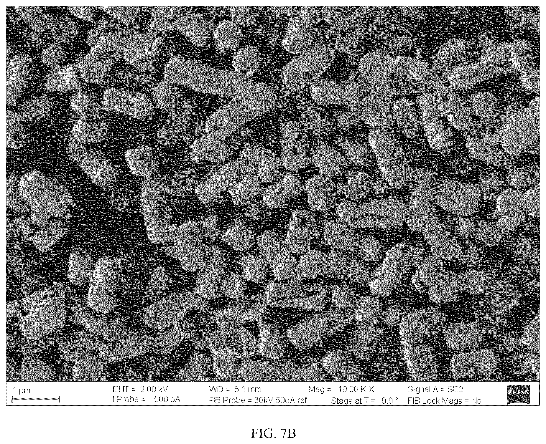 Patent US12312580 Figure 8 – Strain of selenium-enriched Lactiplantibacillus plantarum KD-2 and applications in preparing fermented goat milk and goat milk powder